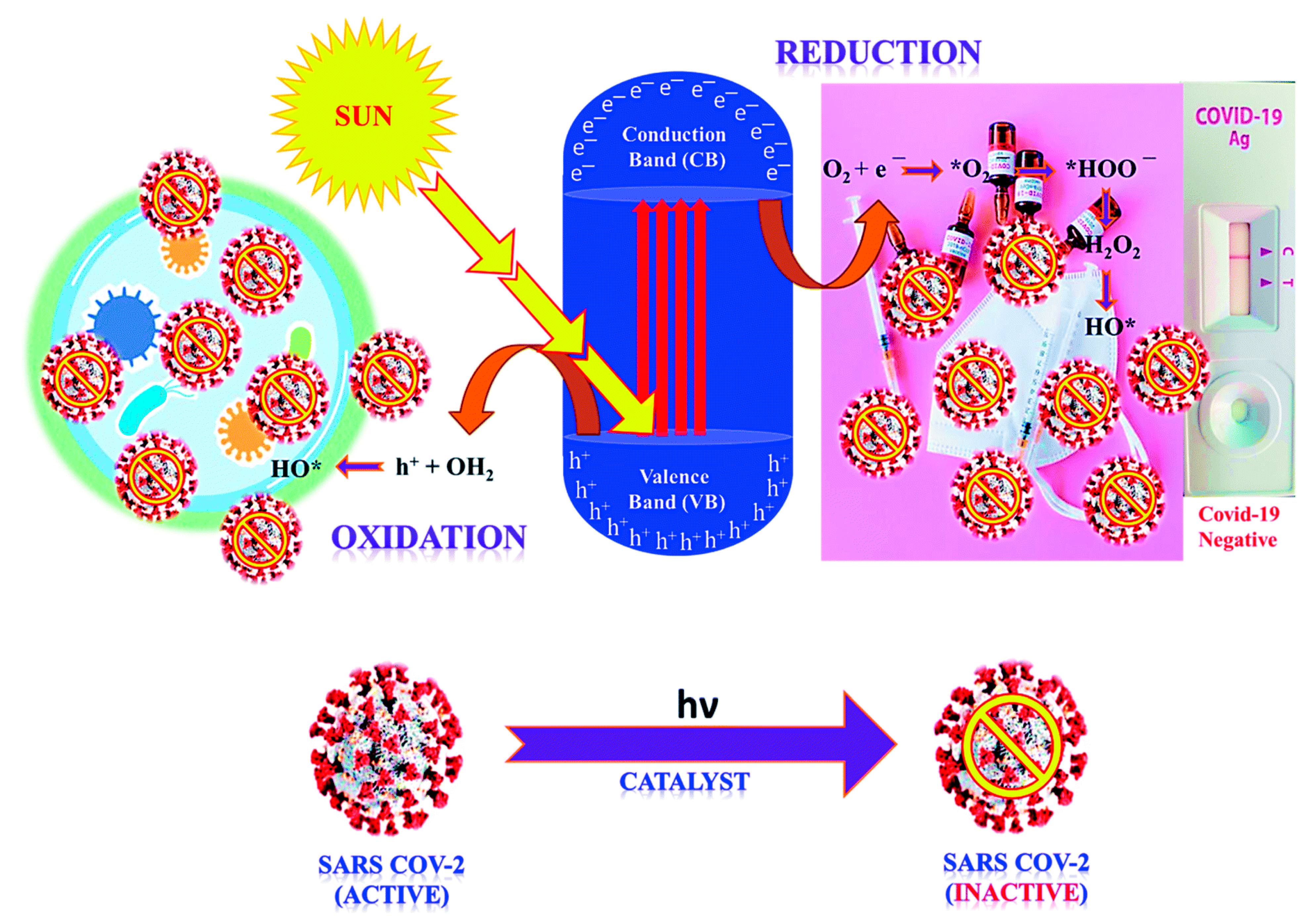 Catalysts 13 00620 g003 Catalysts 13 00620 g003