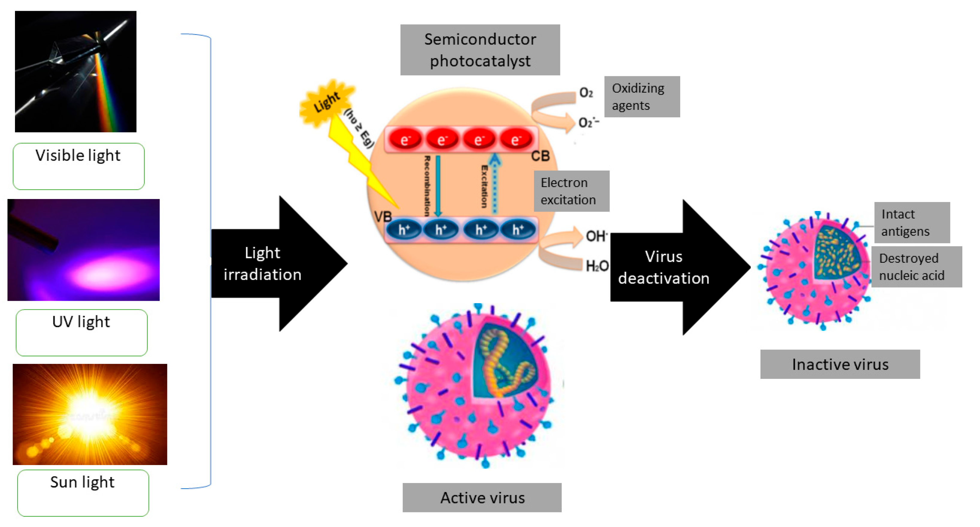 Catalysts 13 00620 g004 Catalysts 13 00620 g004