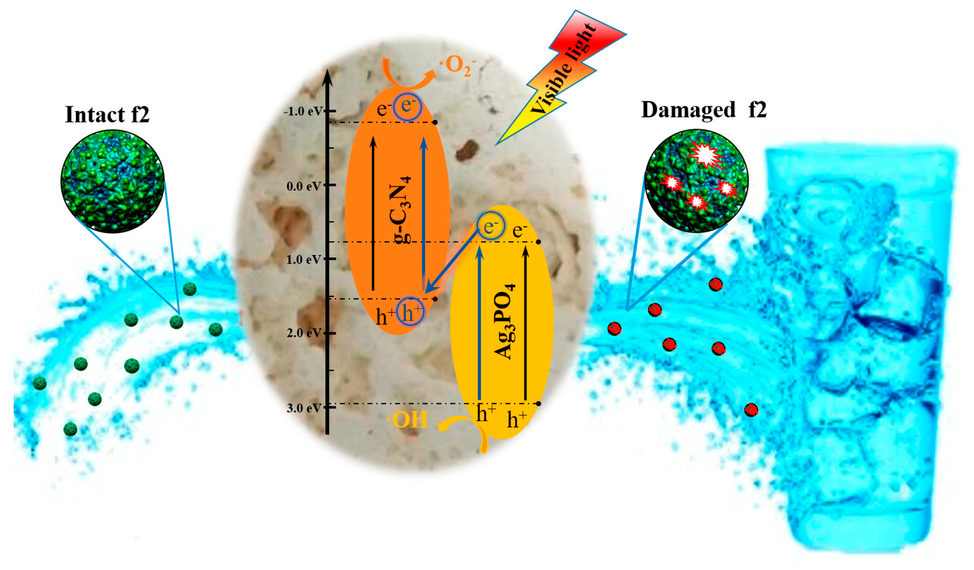Catalysts 13 00620 g005 Catalysts 13 00620 g005