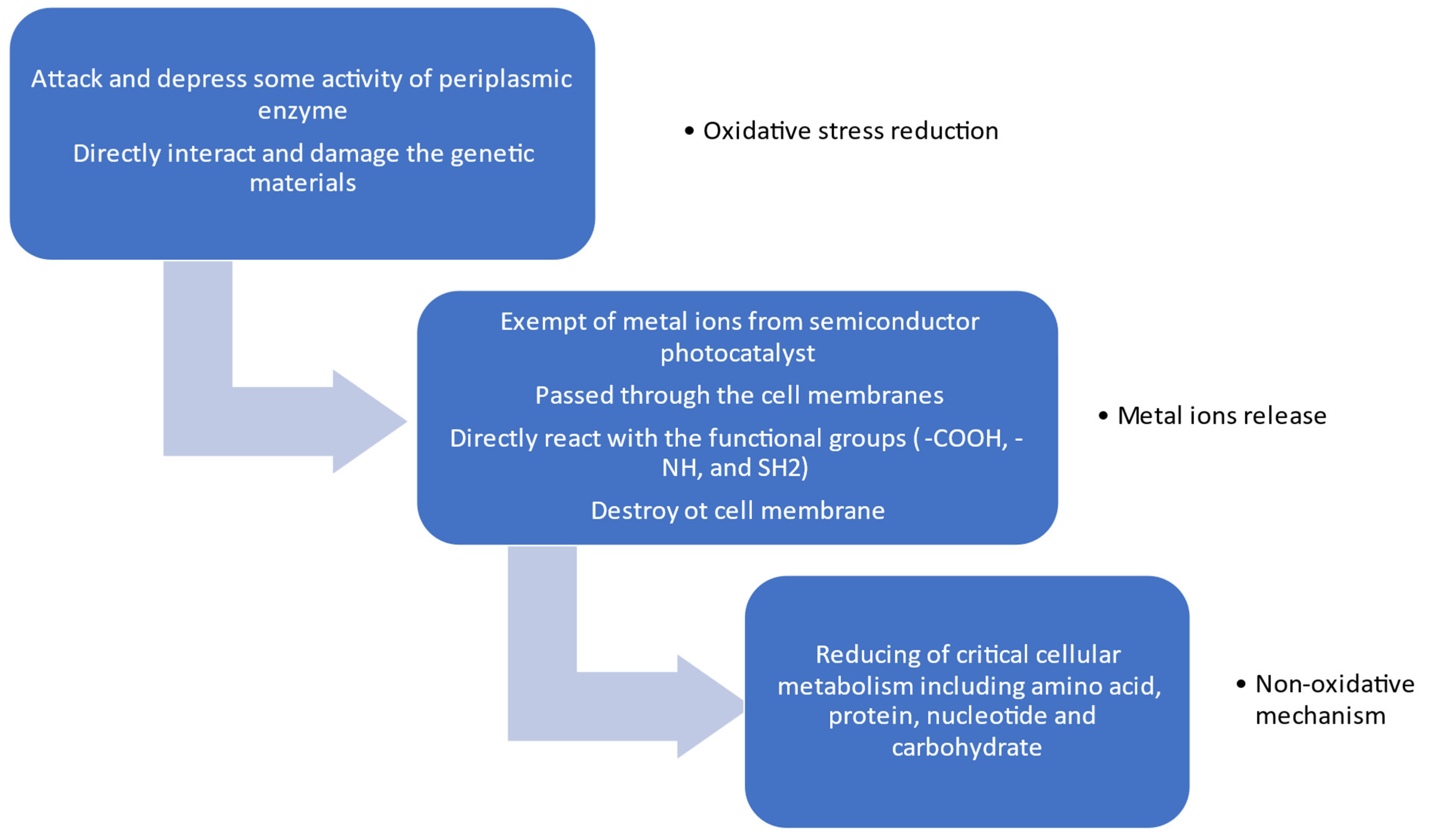 Catalysts 13 00620 g006 Catalysts 13 00620 g006