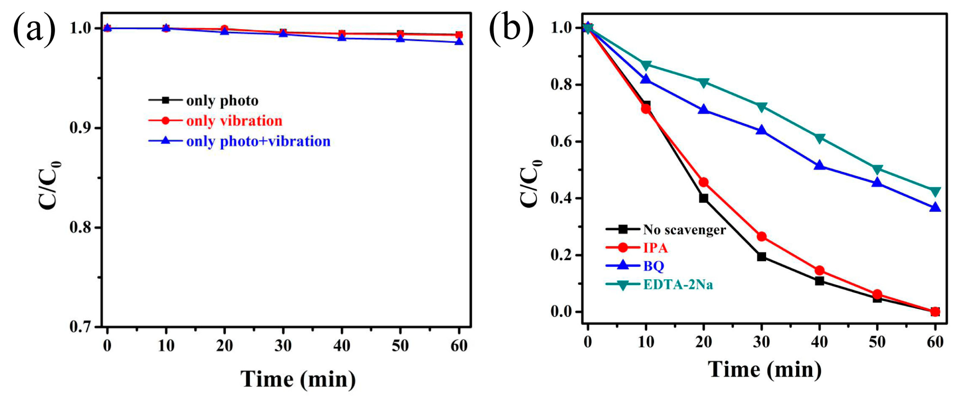 Catalysts 13 00621 g005