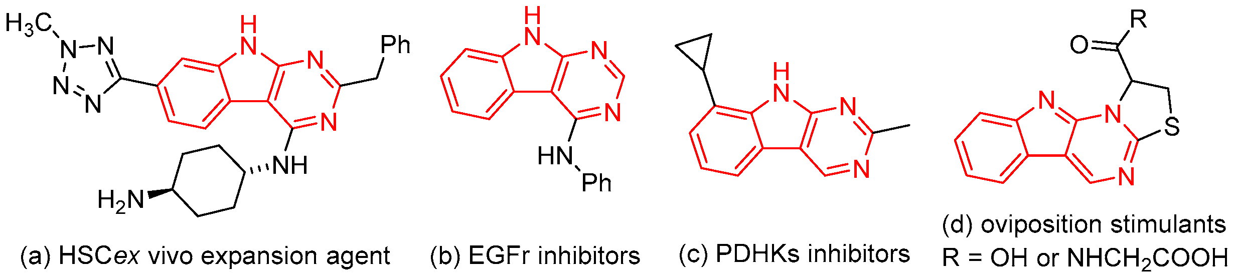 Catalysts 13 00623 g001