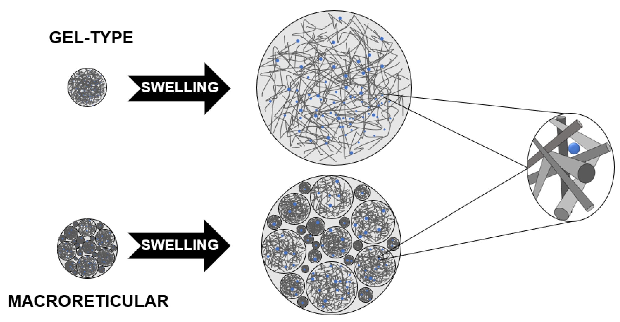 Catalysts 13 00624 g001 Catalysts 13 00624 g001