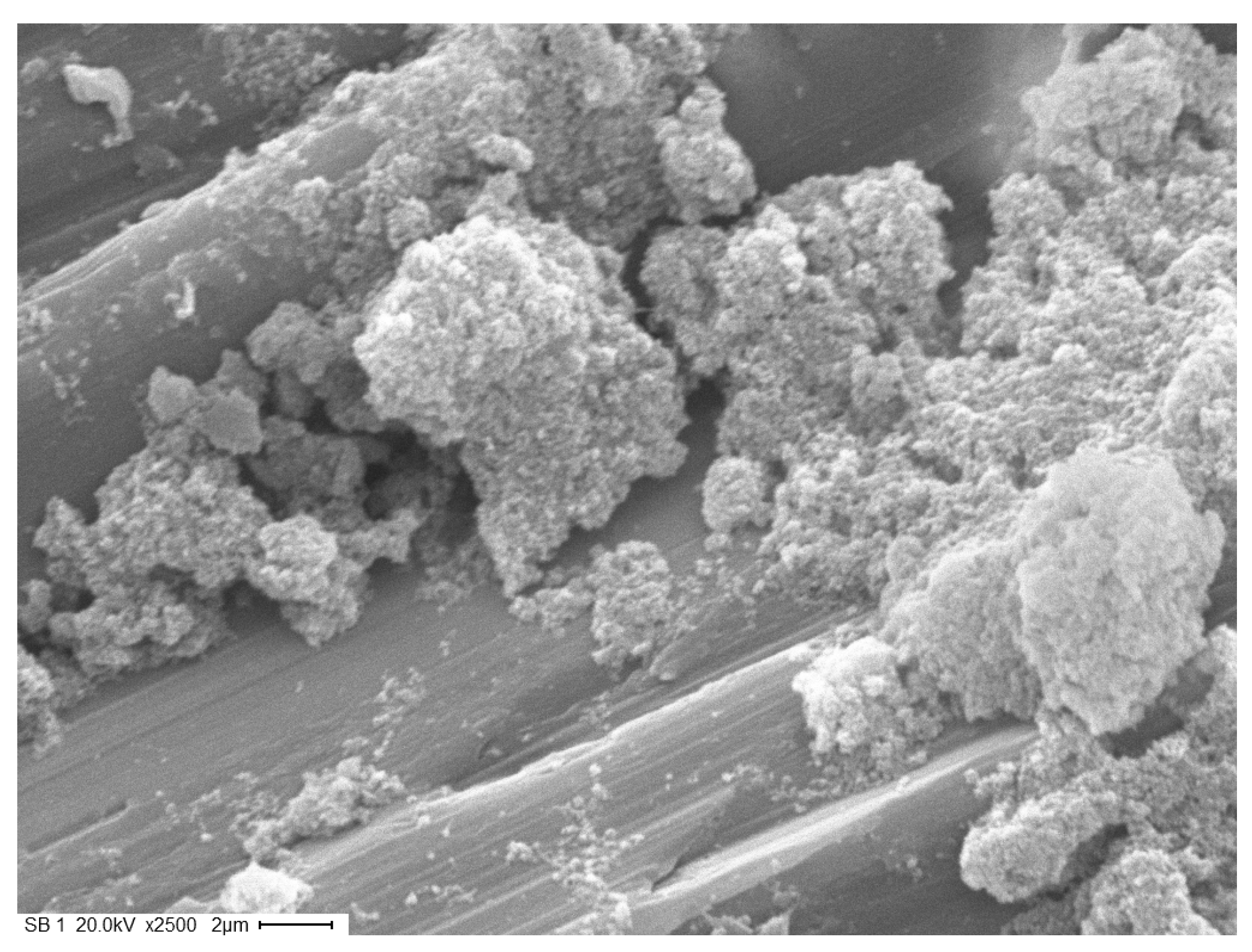 Catalysts 13 00625 g001 Catalysts 13 00625 g001