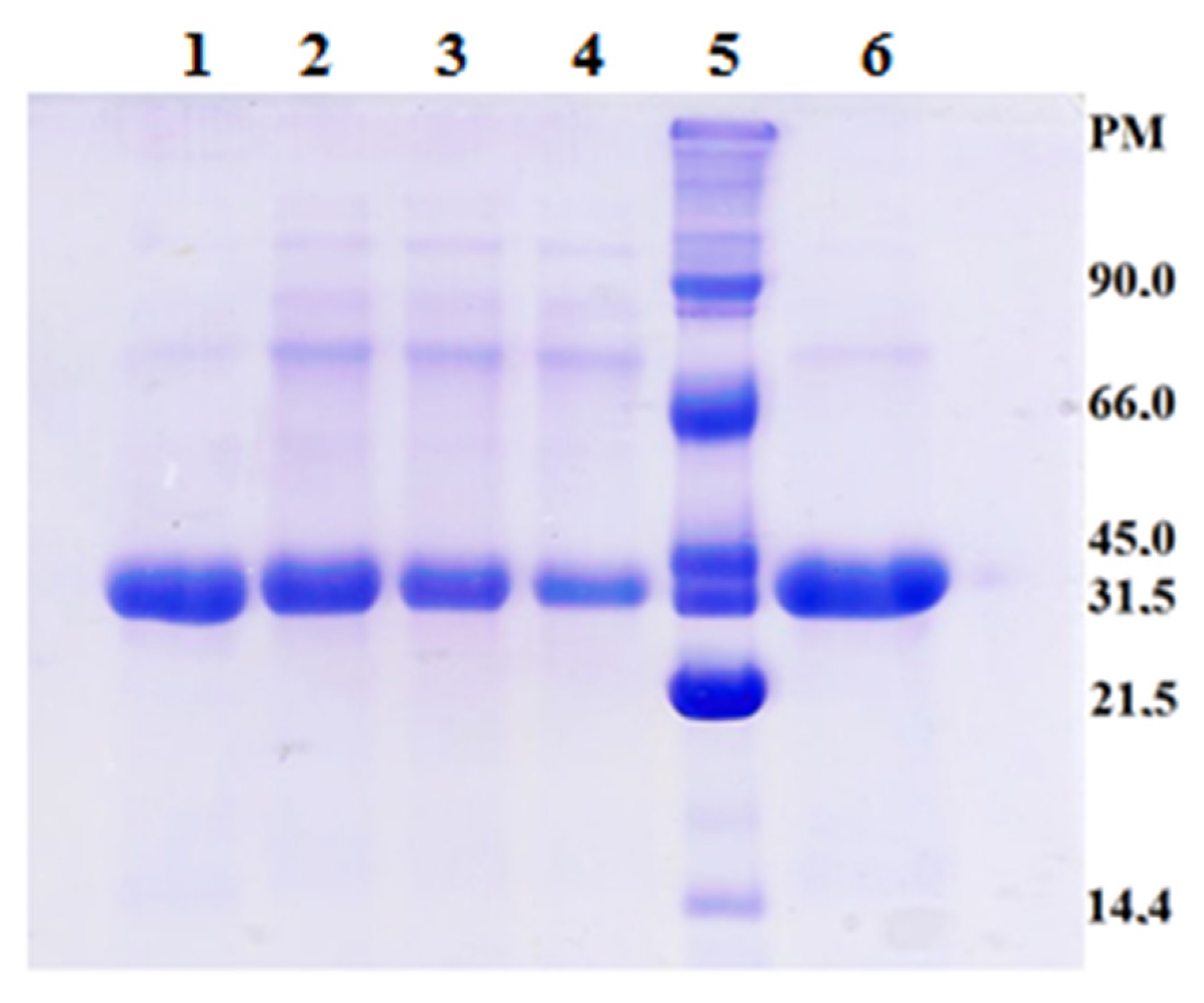 Catalysts 13 00625 g004 Catalysts 13 00625 g004