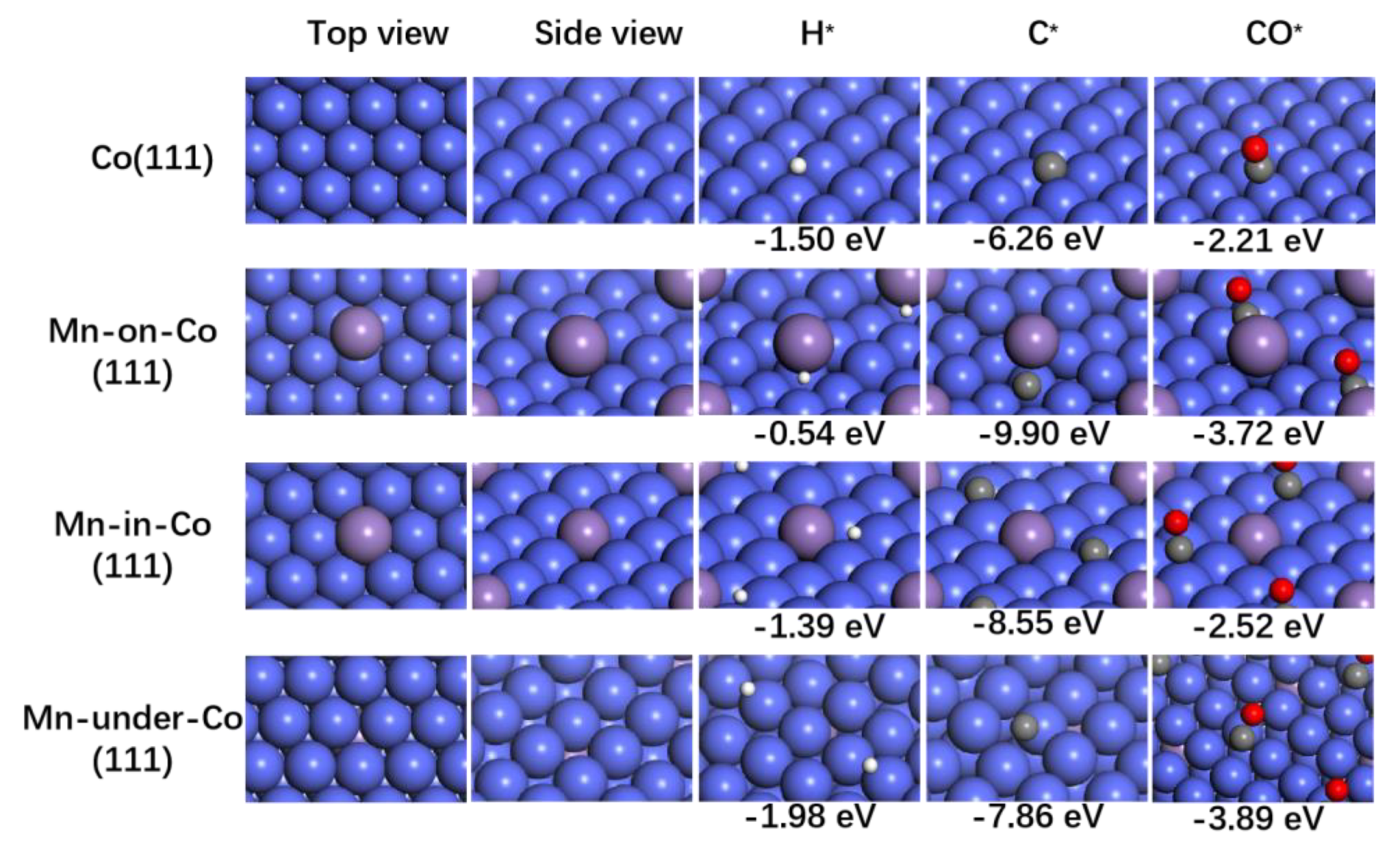 Catalysts 13 00633 g006