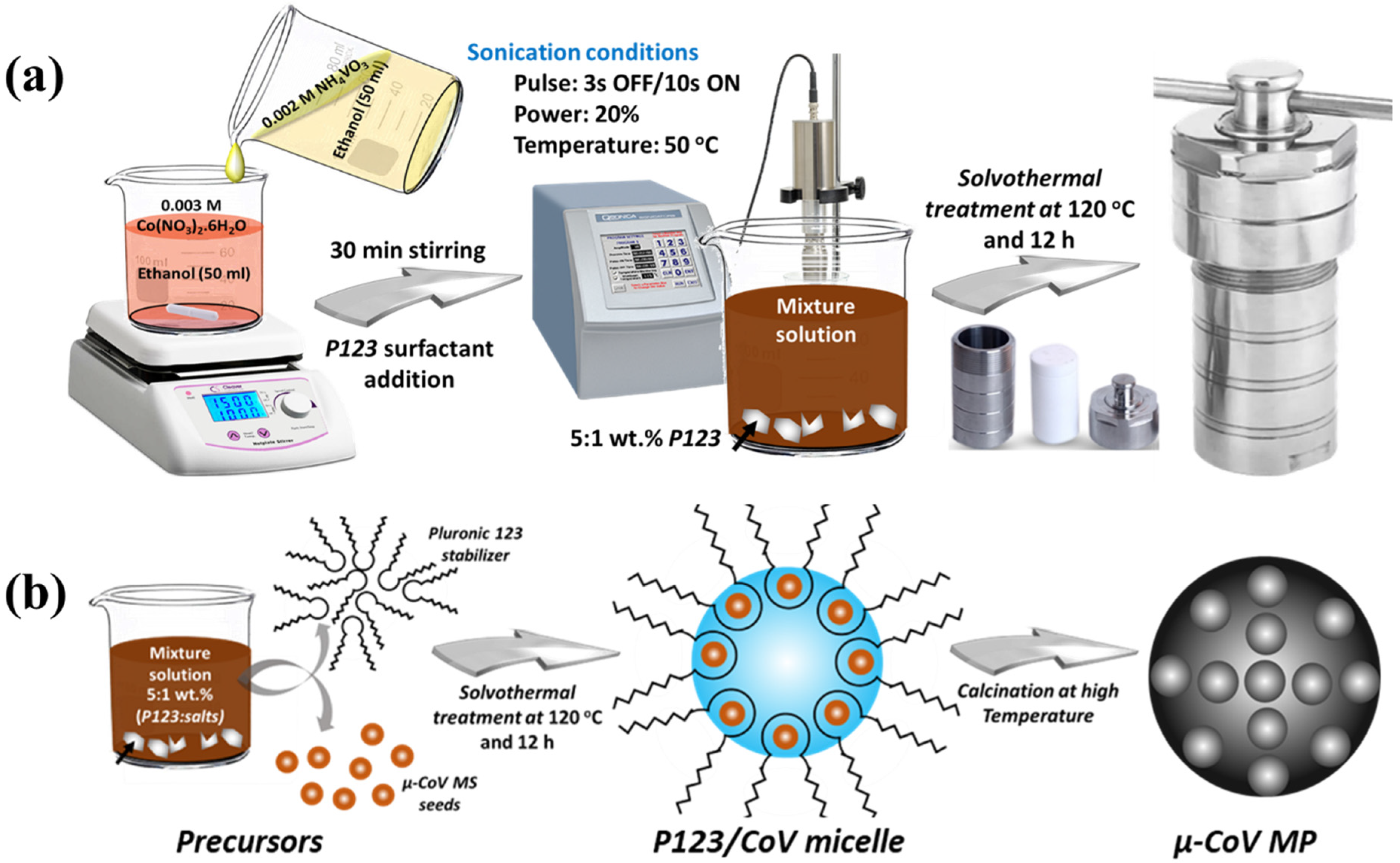 Catalysts 13 00636 g001 Catalysts 13 00636 g001
