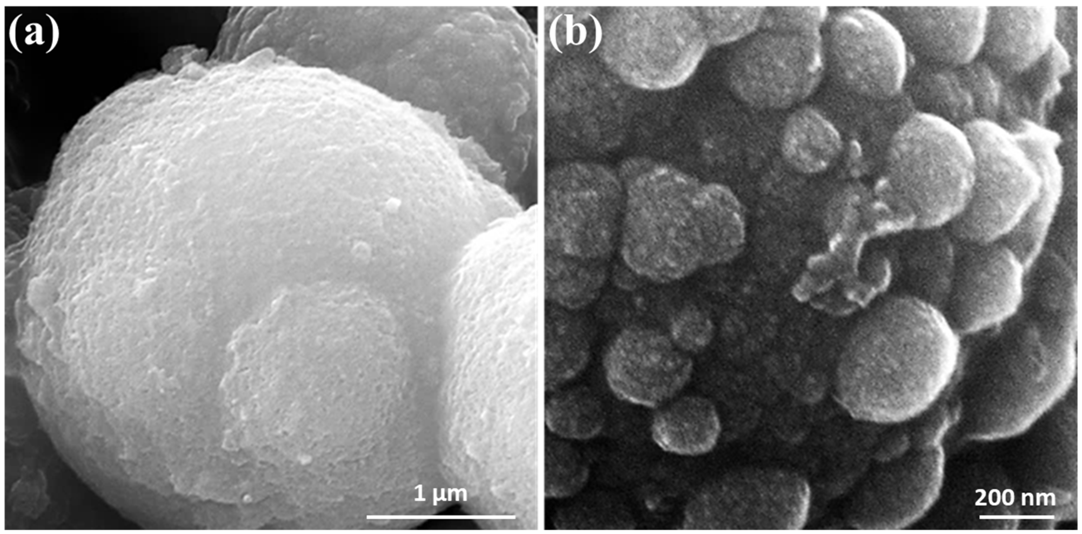 Catalysts 13 00636 g002 Catalysts 13 00636 g002