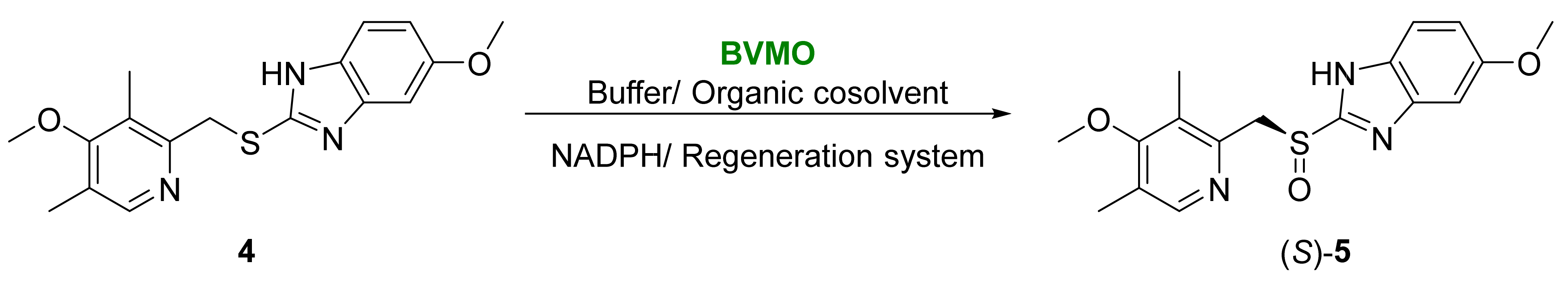 Catalysts 13 00638 sch004