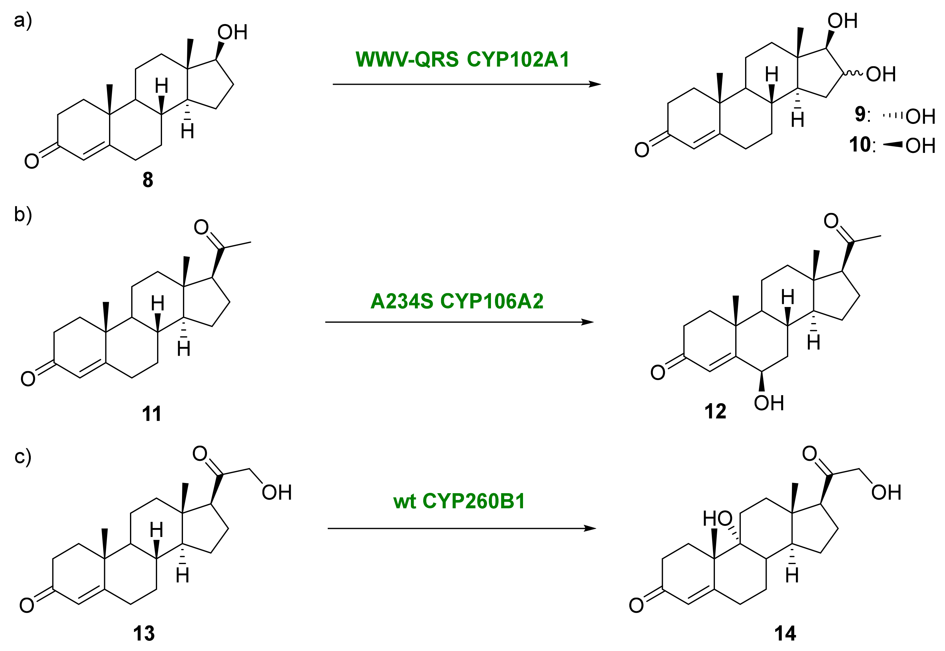 Catalysts 13 00638 sch006