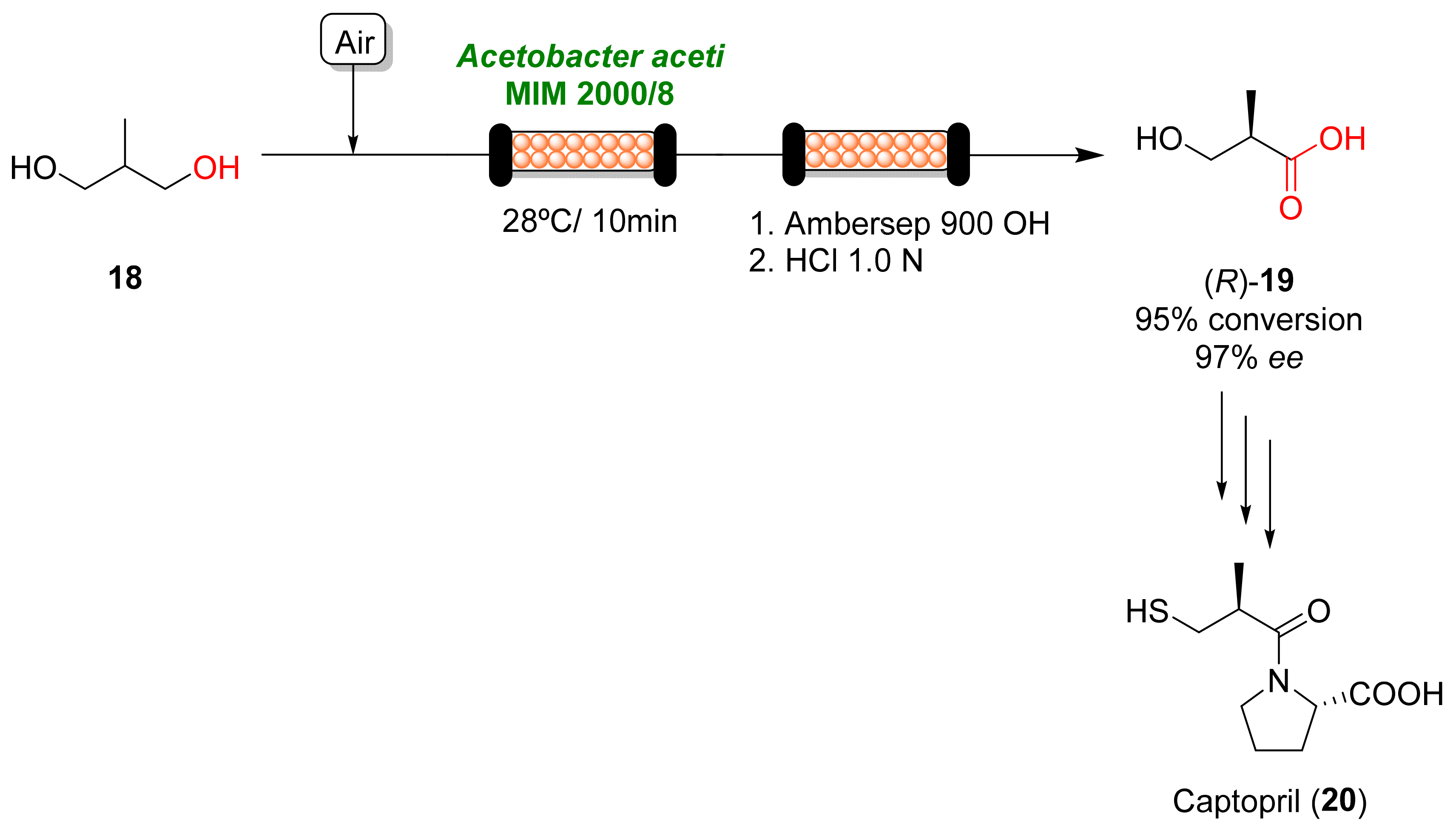 Catalysts 13 00638 sch008