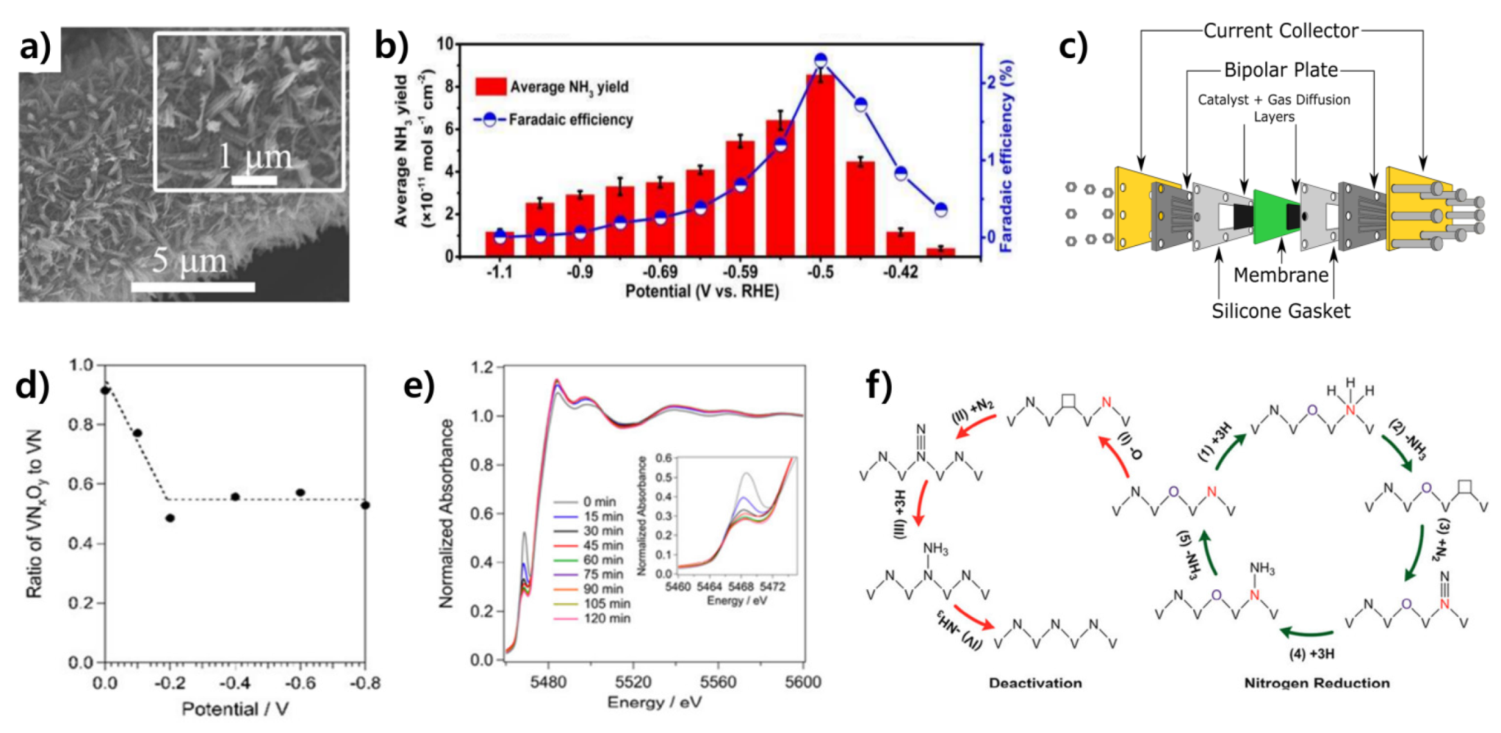Catalysts 13 00639 g003 Catalysts 13 00639 g003