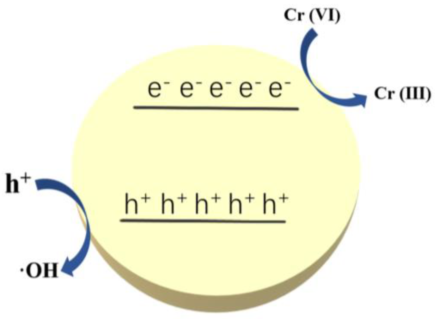 Catalysts 13 00641 g007 550