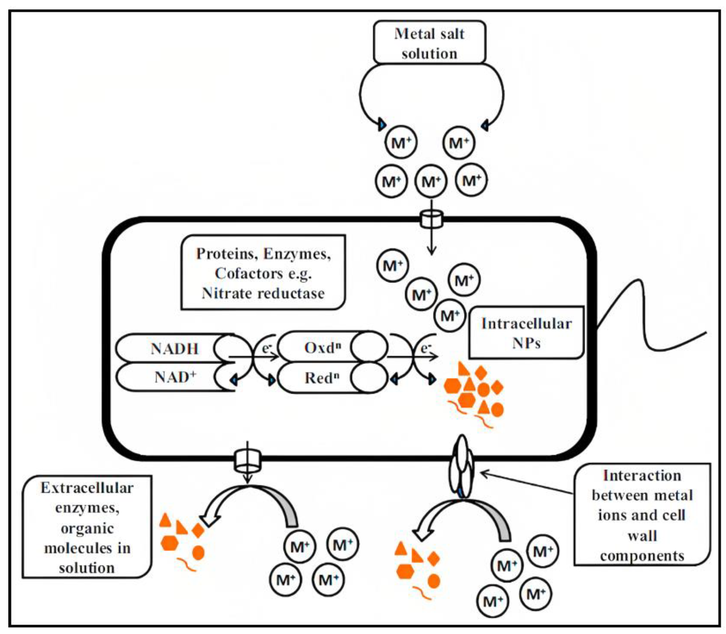 Catalysts 13 00642 g003 Catalysts 13 00642 g003