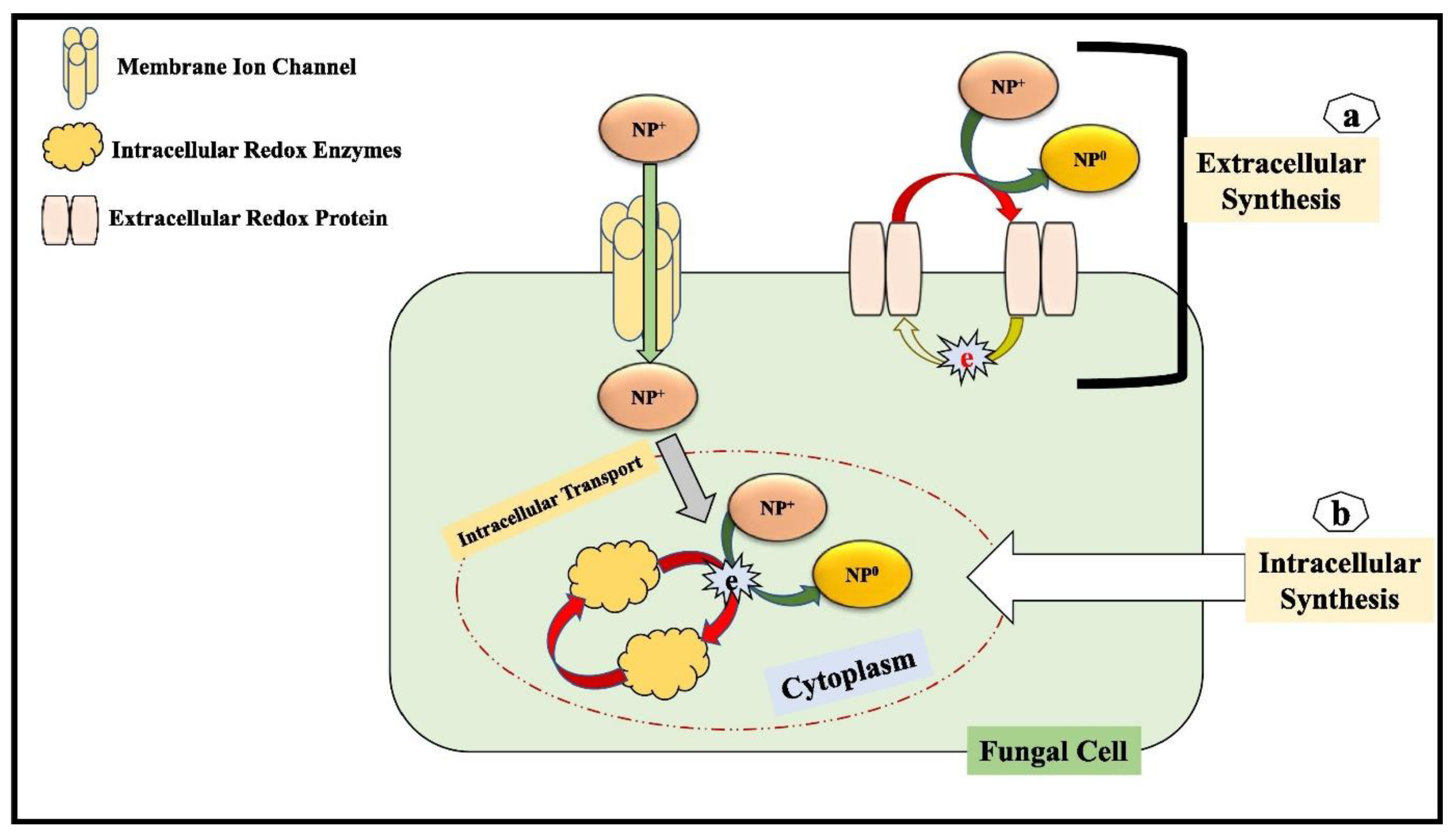 Catalysts 13 00642 g004 Catalysts 13 00642 g004