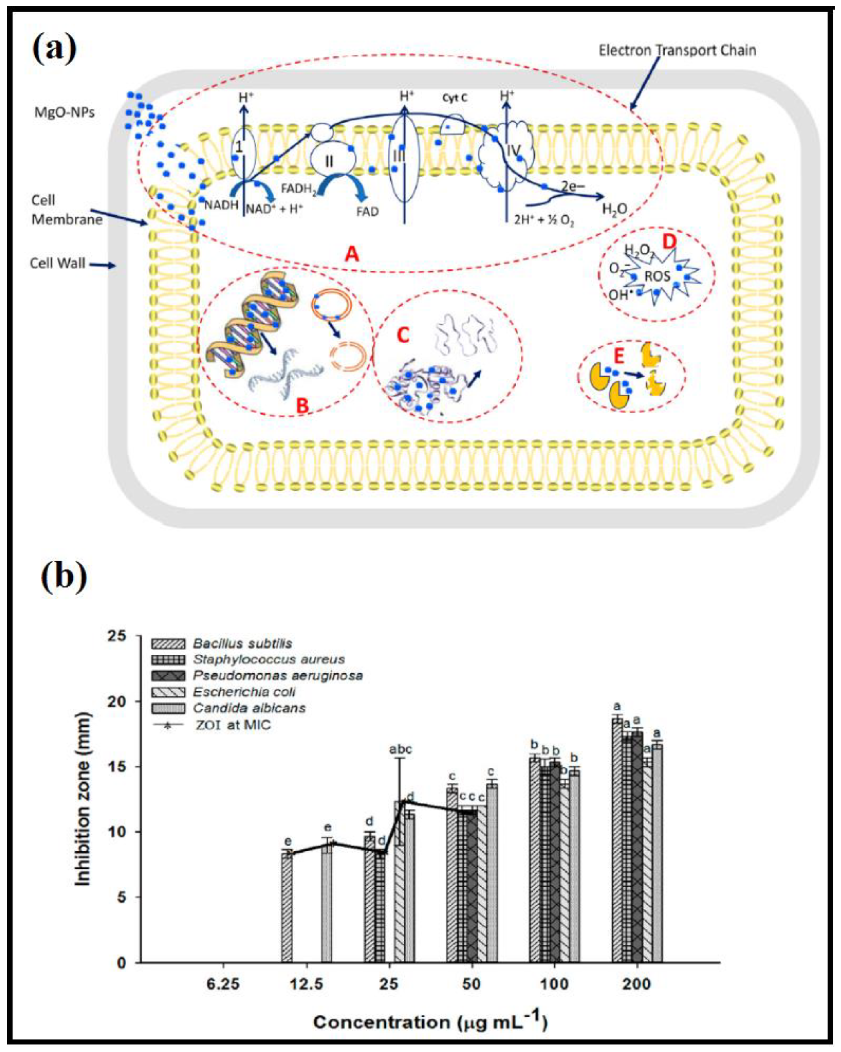 Catalysts 13 00642 g005 Catalysts 13 00642 g005