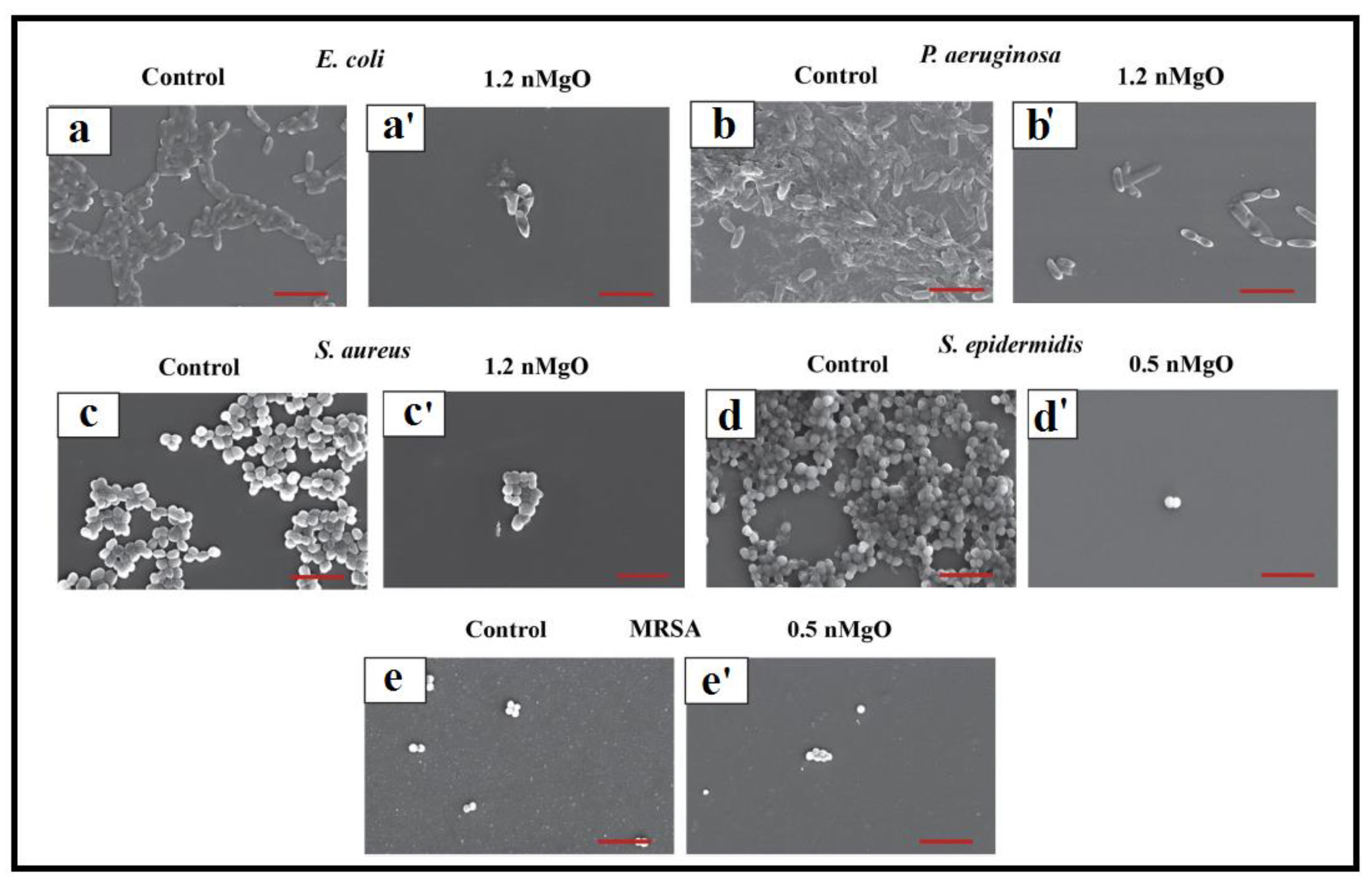 Catalysts 13 00642 g006 Catalysts 13 00642 g006