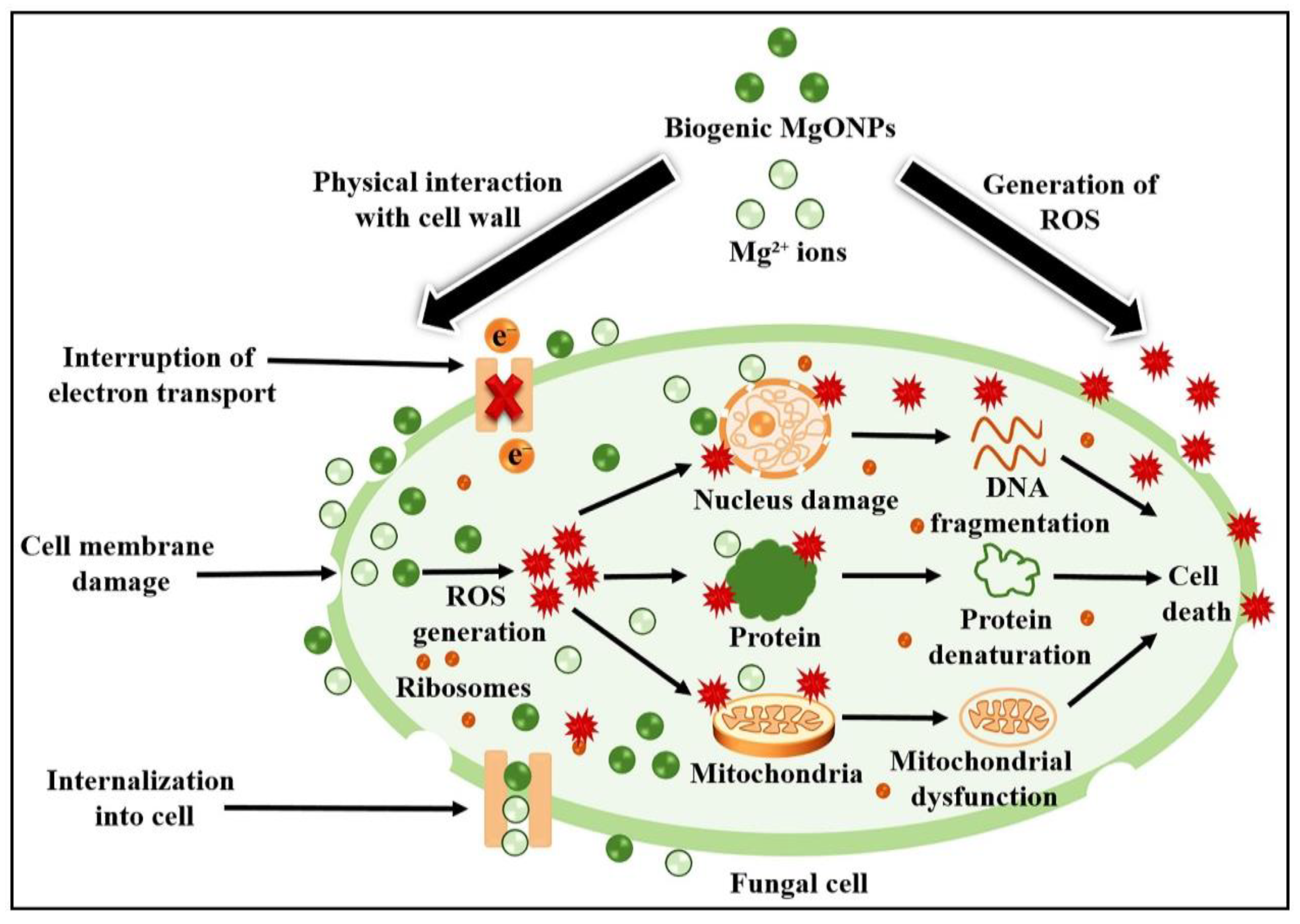 Catalysts 13 00642 g008 Catalysts 13 00642 g008