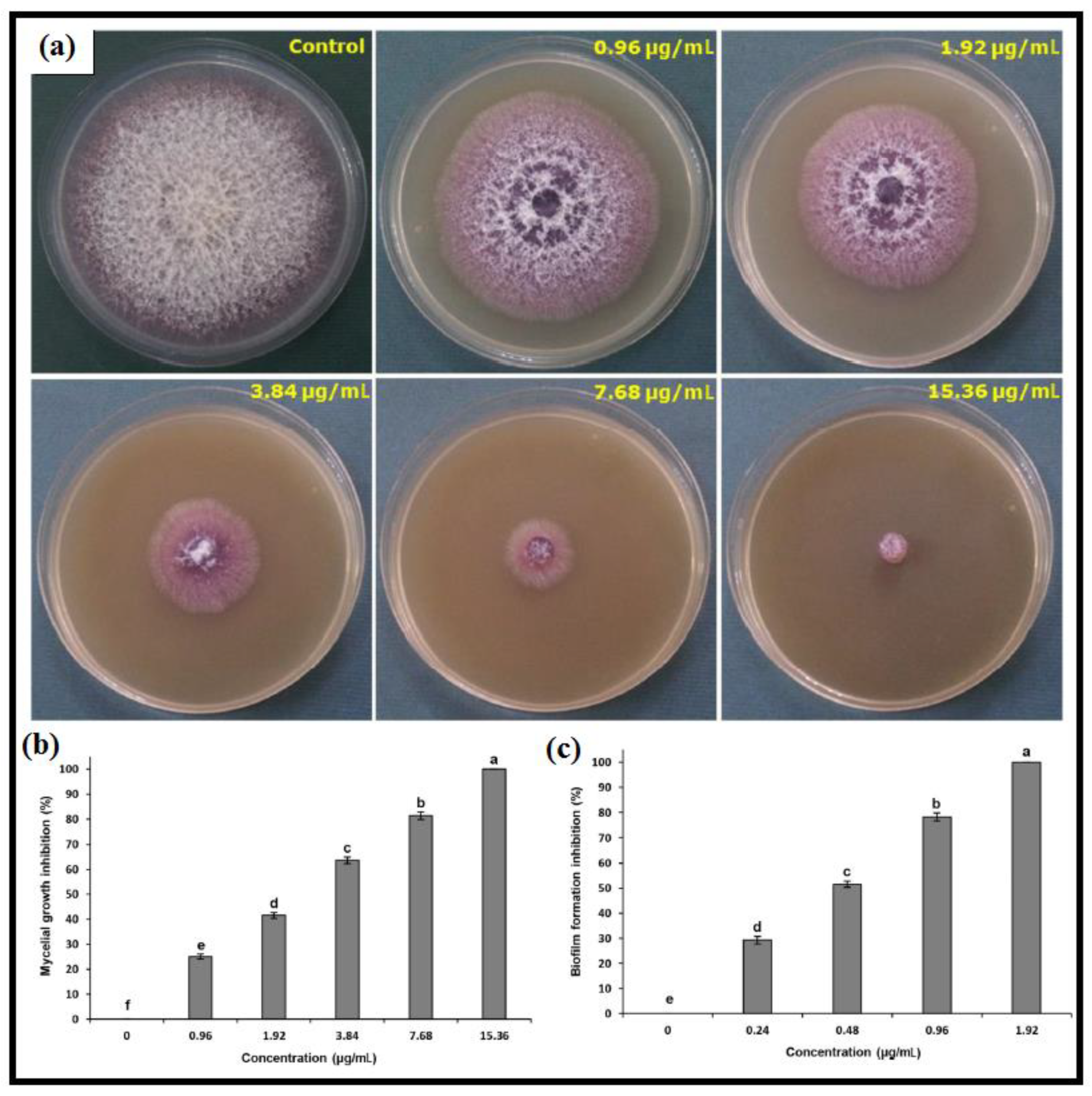 Catalysts 13 00642 g009 Catalysts 13 00642 g009