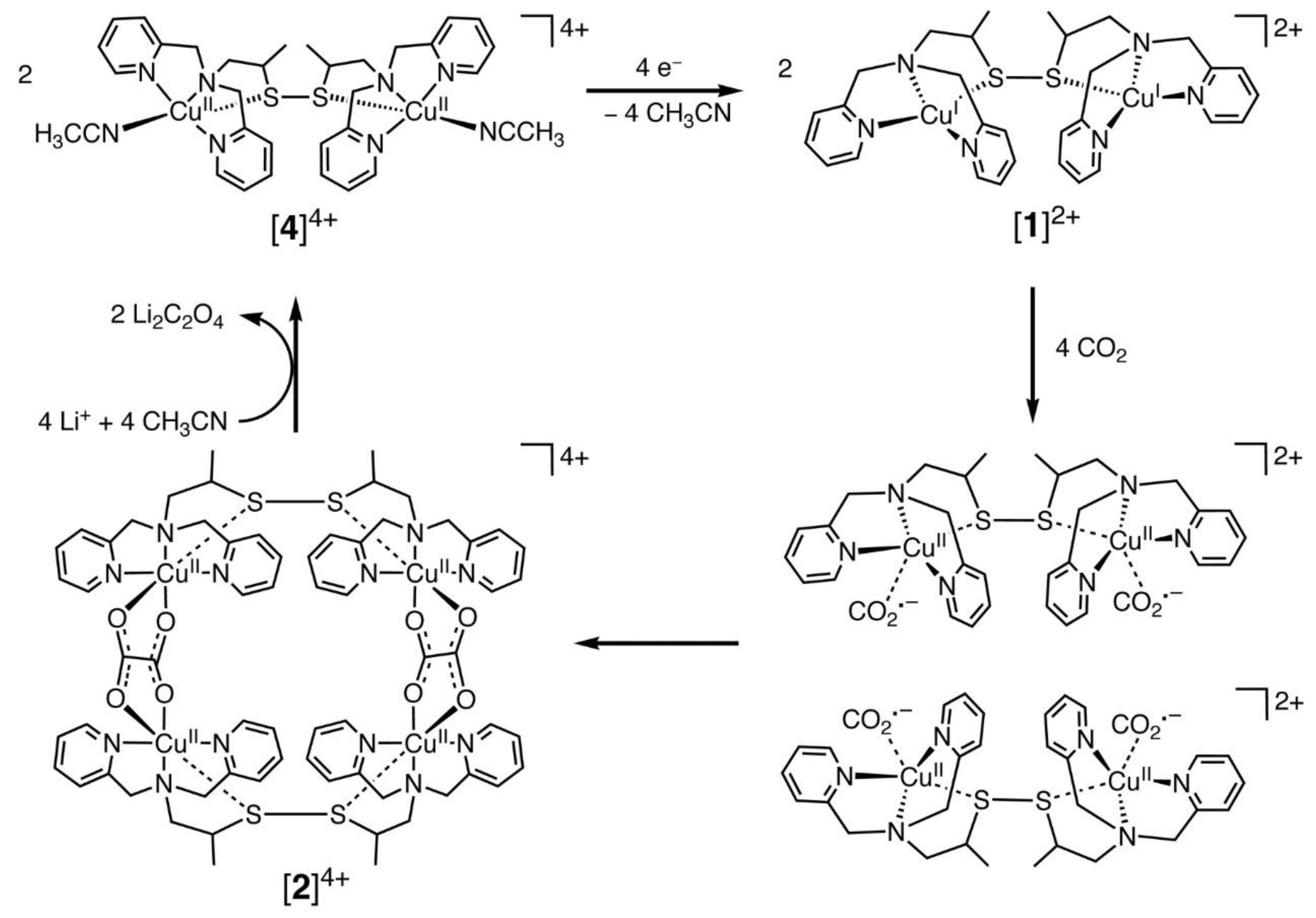 Catalysts 13 00644 g002 Catalysts 13 00644 g002