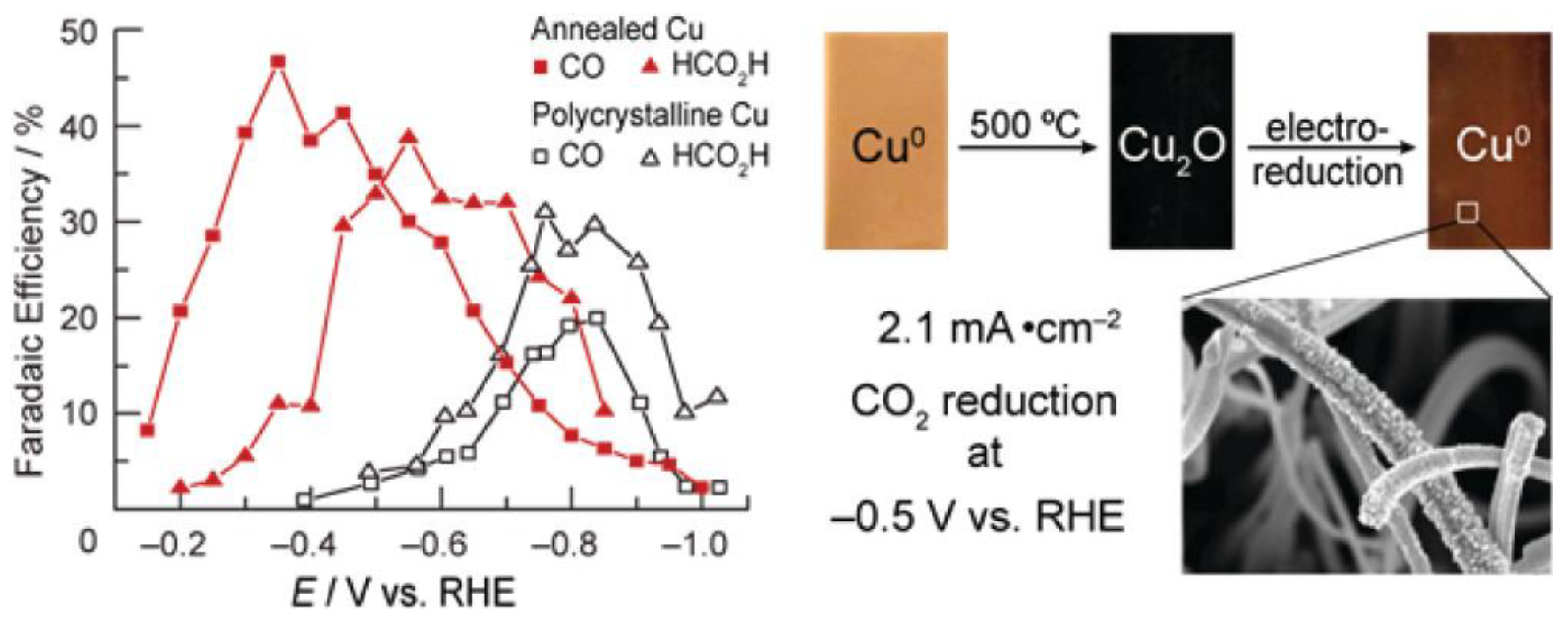 Catalysts 13 00644 g003 Catalysts 13 00644 g003