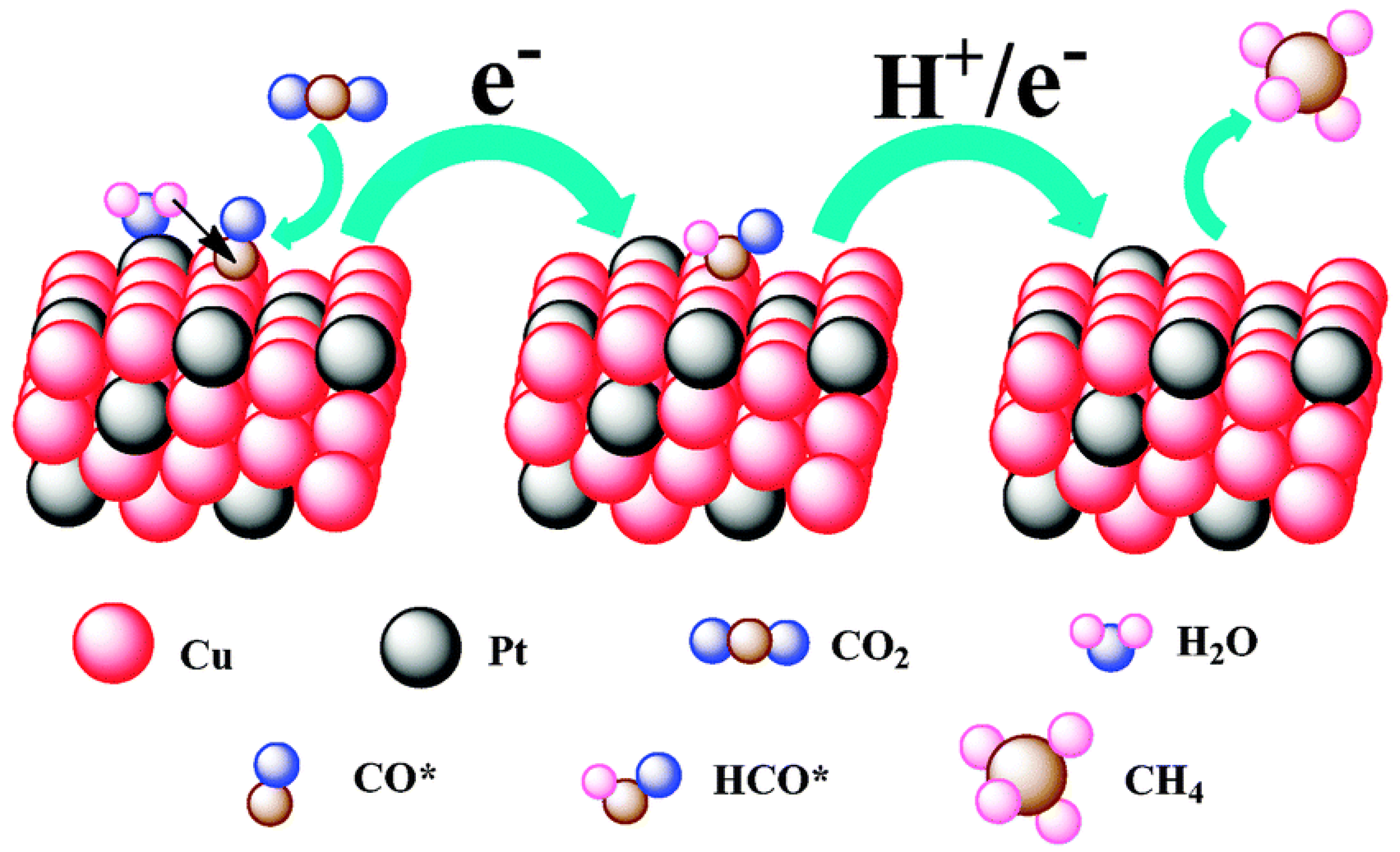 Catalysts 13 00644 g005 Catalysts 13 00644 g005