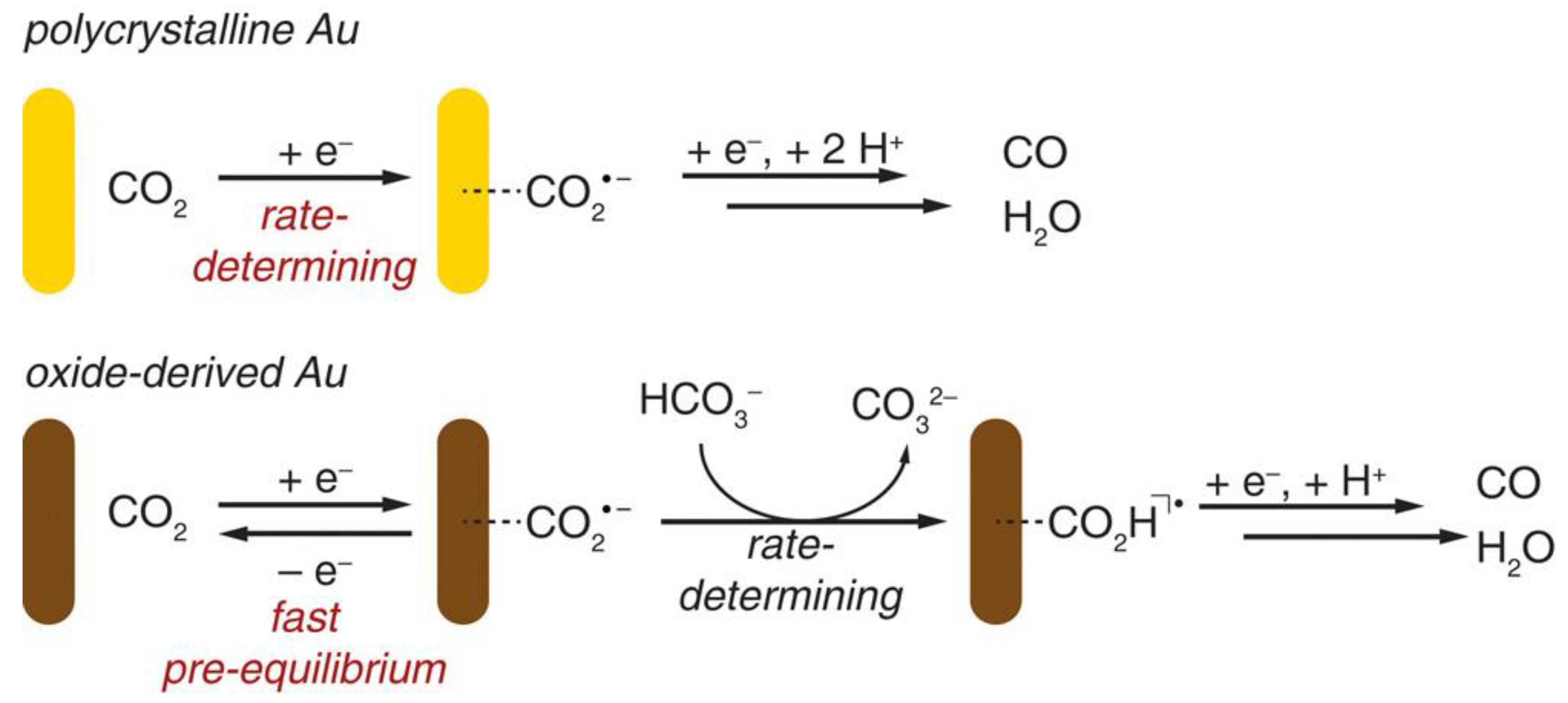Catalysts 13 00644 g007 Catalysts 13 00644 g007