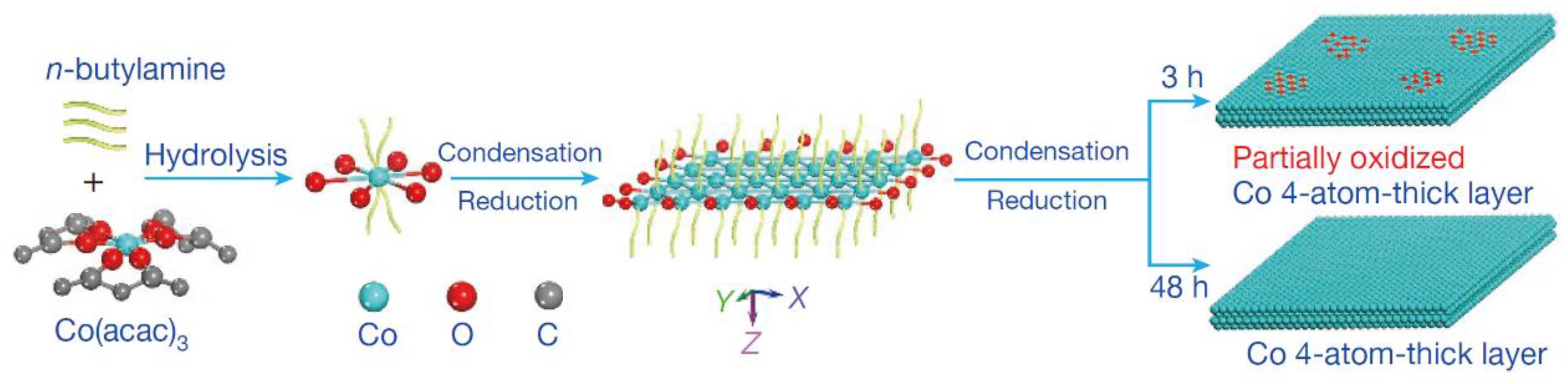 Catalysts 13 00644 g010 Catalysts 13 00644 g010