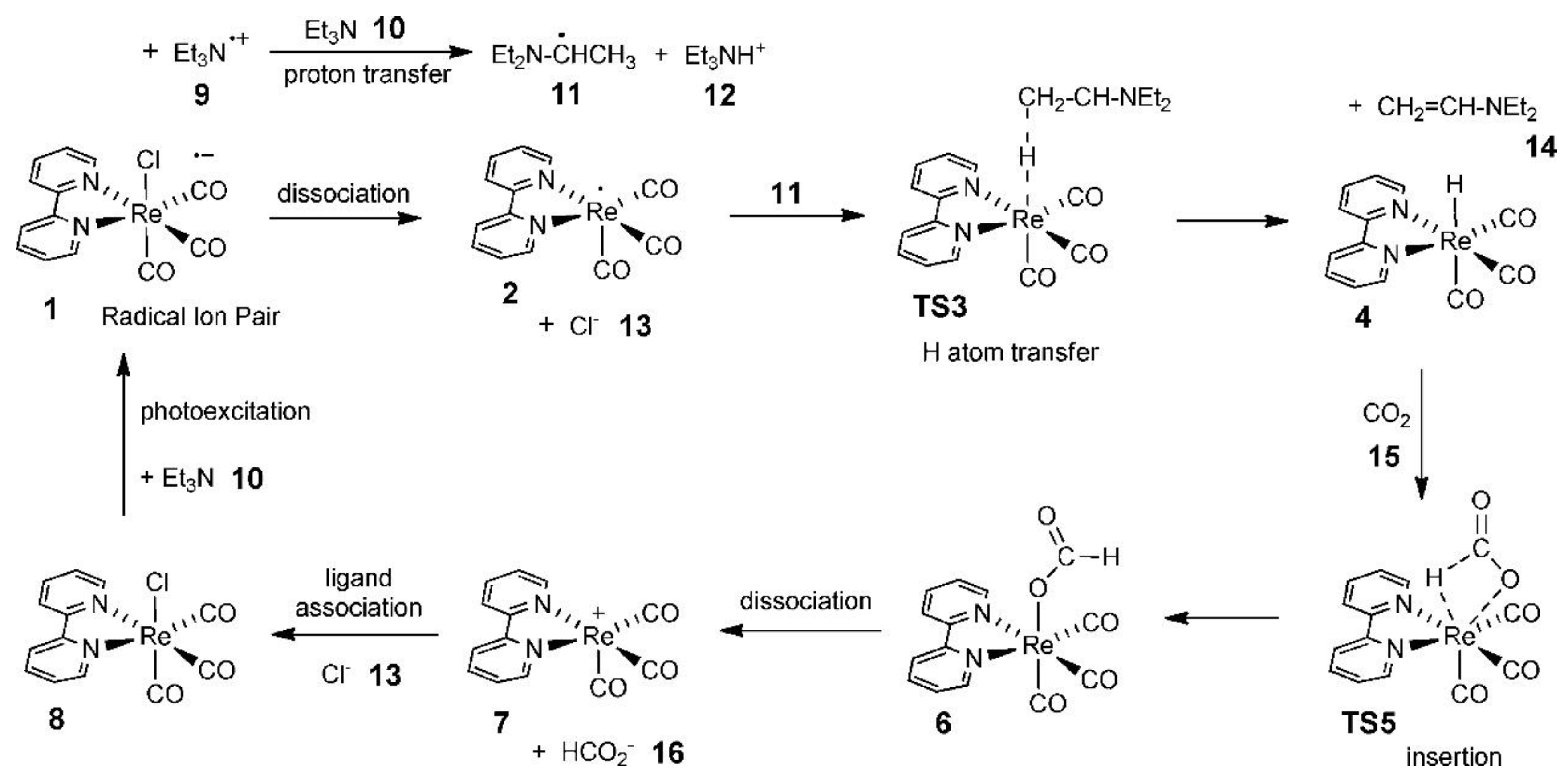 Catalysts 13 00644 g013 Catalysts 13 00644 g013