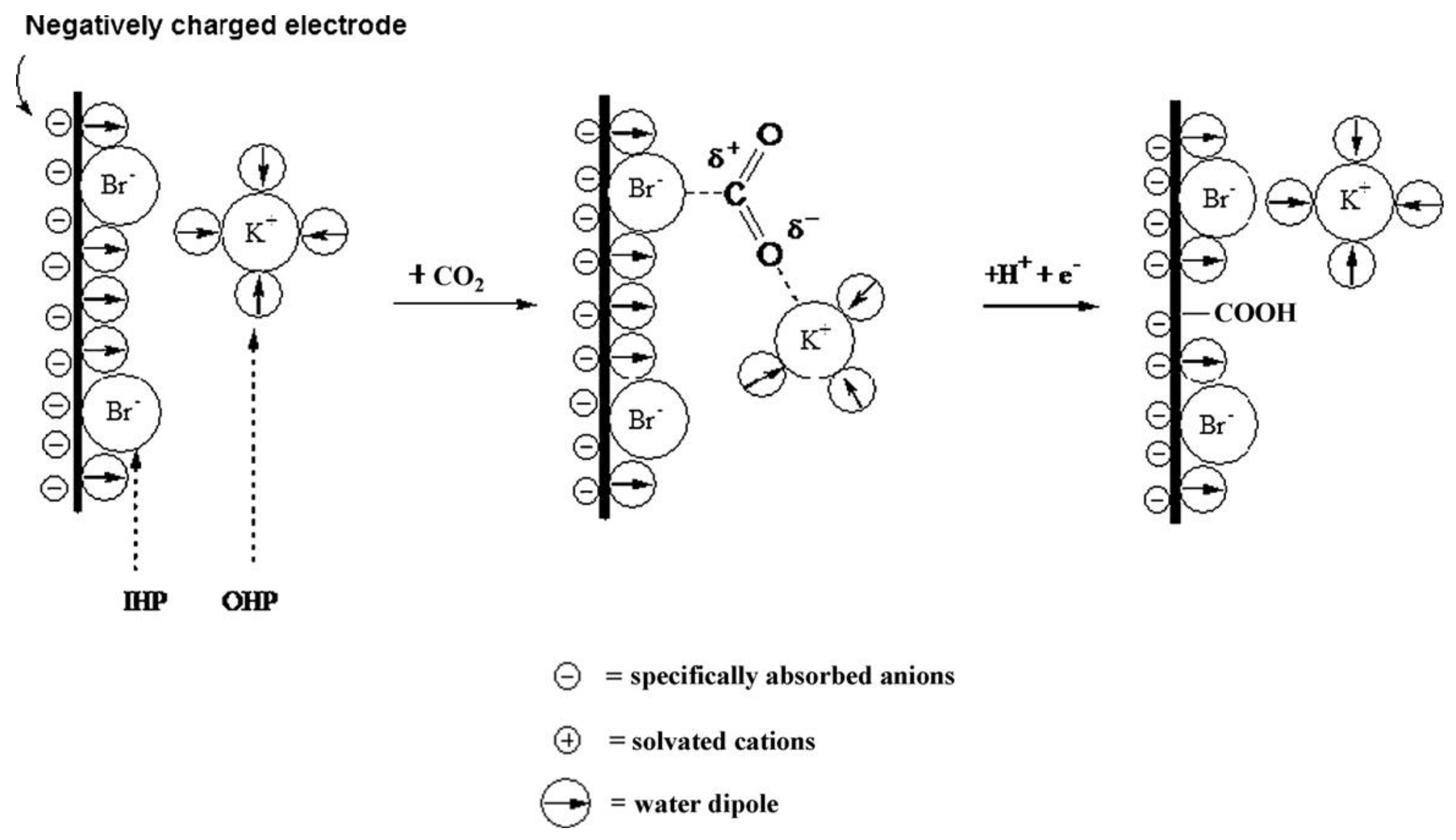 Catalysts 13 00644 g014 Catalysts 13 00644 g014