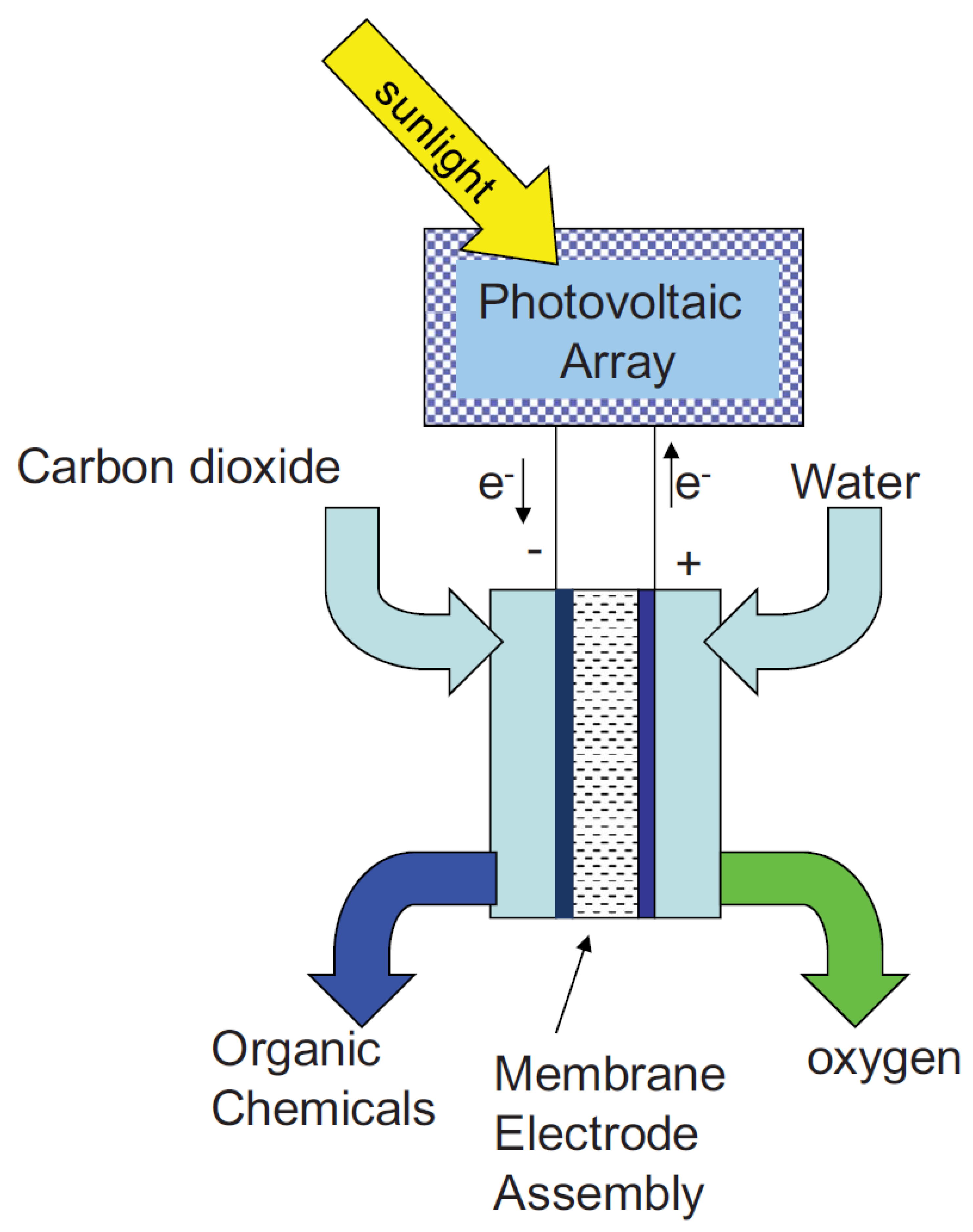 Catalysts 13 00644 g015 Catalysts 13 00644 g015