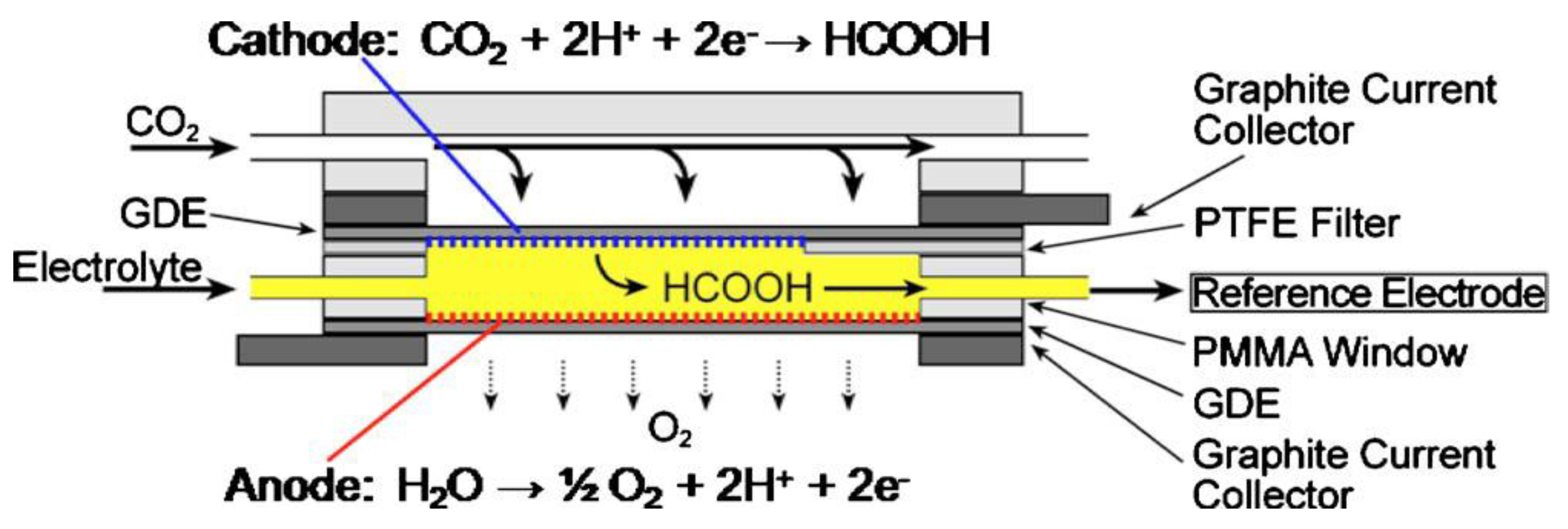 Catalysts 13 00644 g017 Catalysts 13 00644 g017