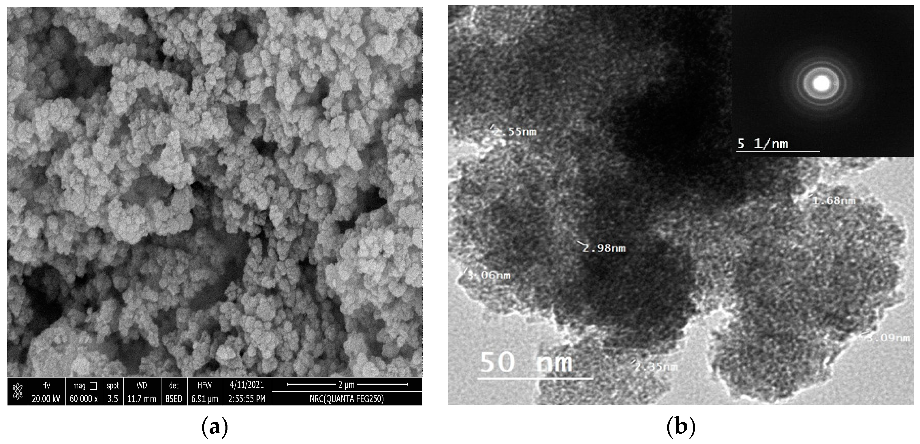 Catalysts 13 00645 g004 Catalysts 13 00645 g004