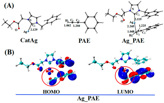 Insights into the Three-Component Coupling Reactions of