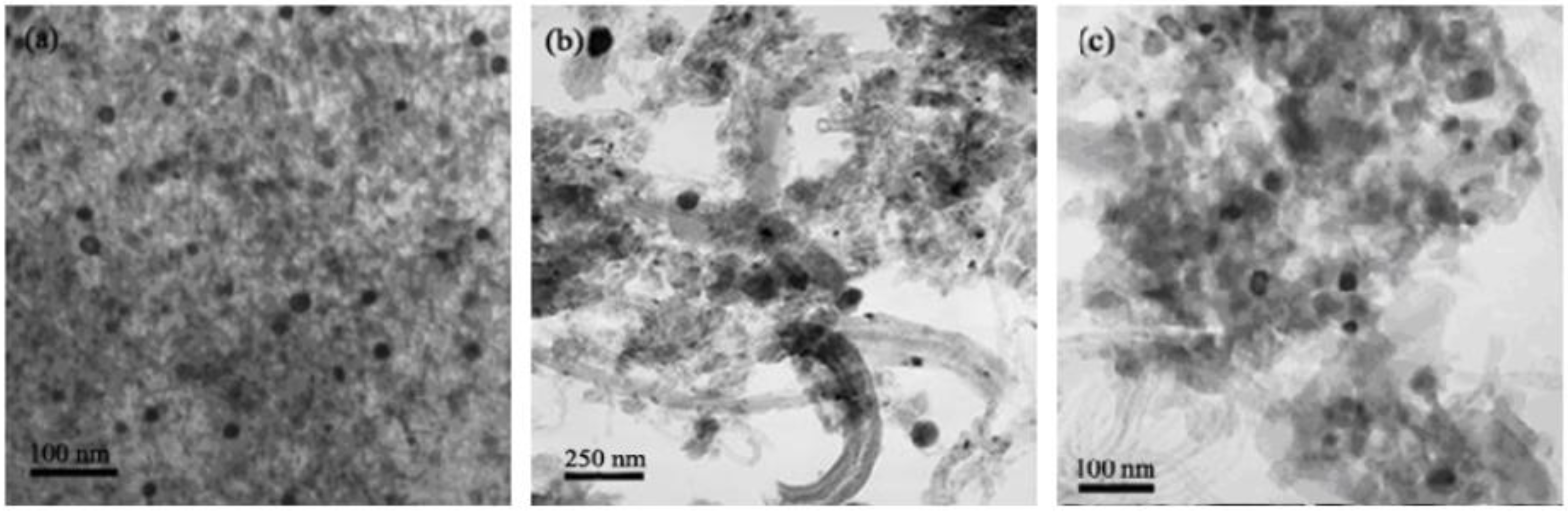 Catalysts 13 00647 g006 Catalysts 13 00647 g006