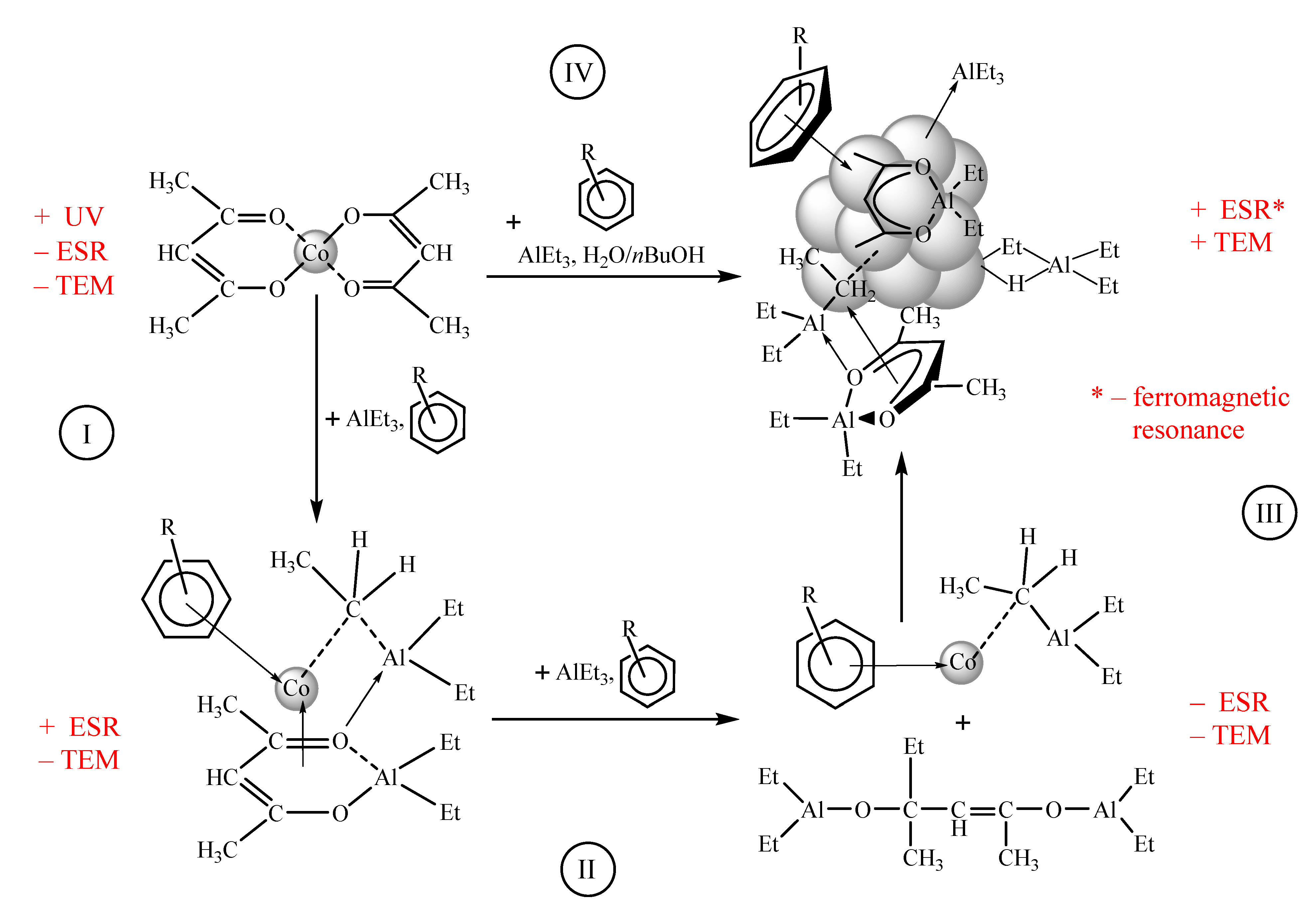 Catalysts 13 00653 sch001 Catalysts 13 00653 sch001