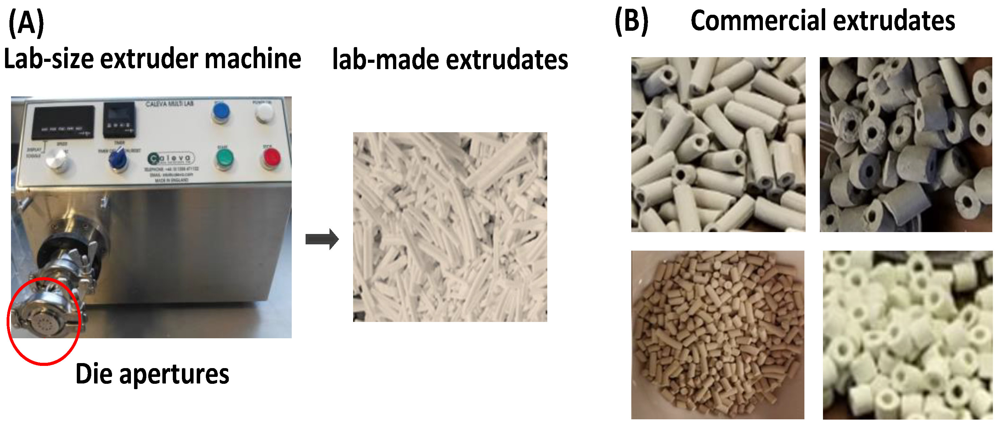 Catalysts 13 00656 g001 Catalysts 13 00656 g001