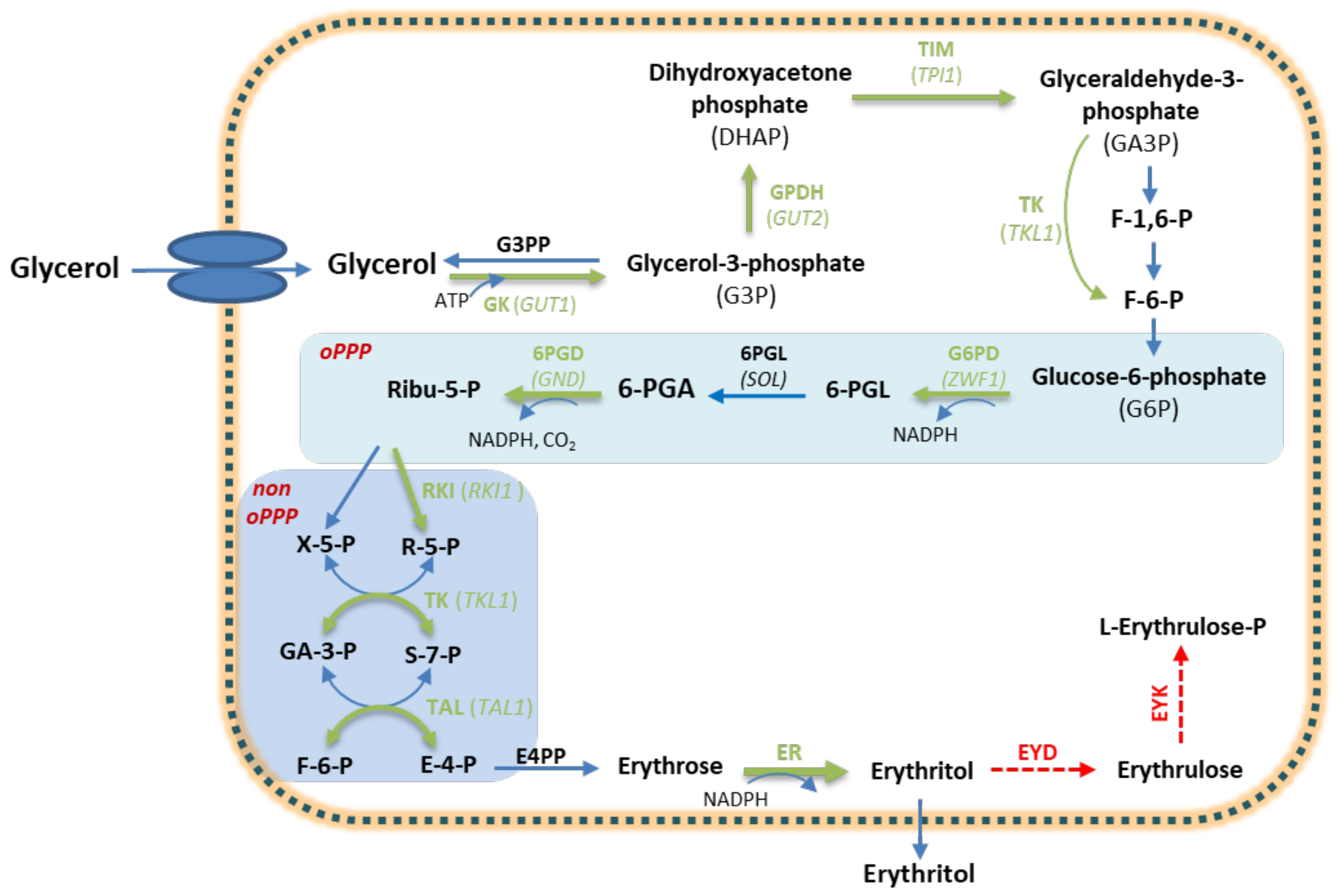 Catalysts 13 00657 g002