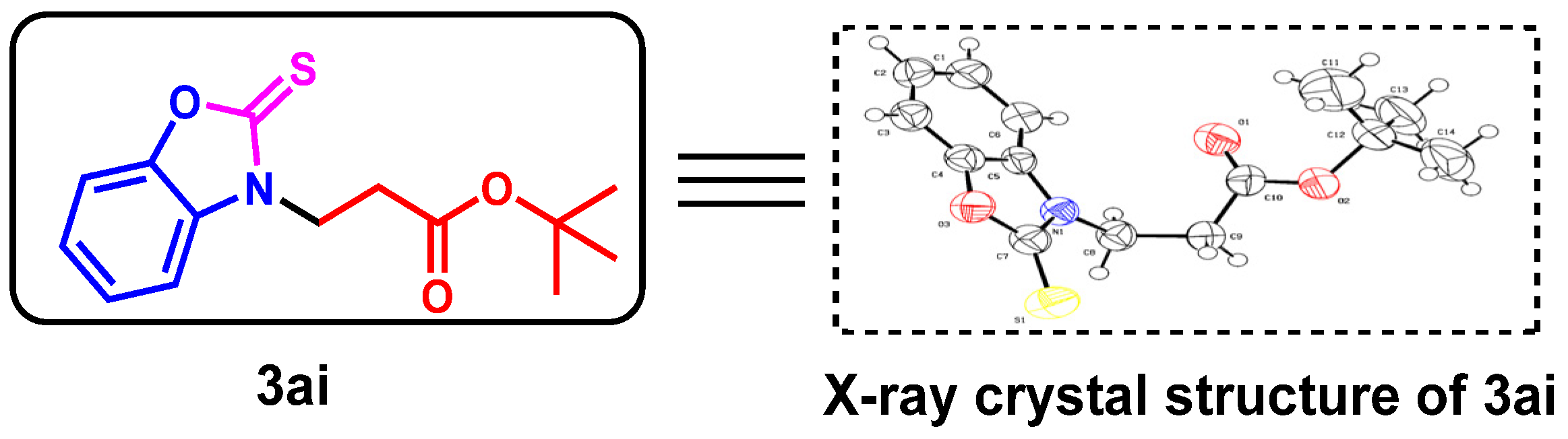Catalysts 13 00658 g002