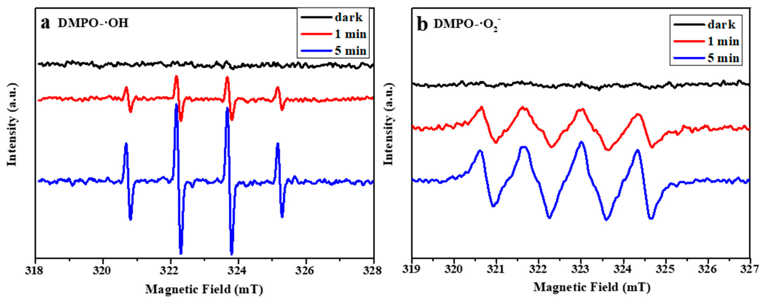 Catalysts 13 00659 g006 550