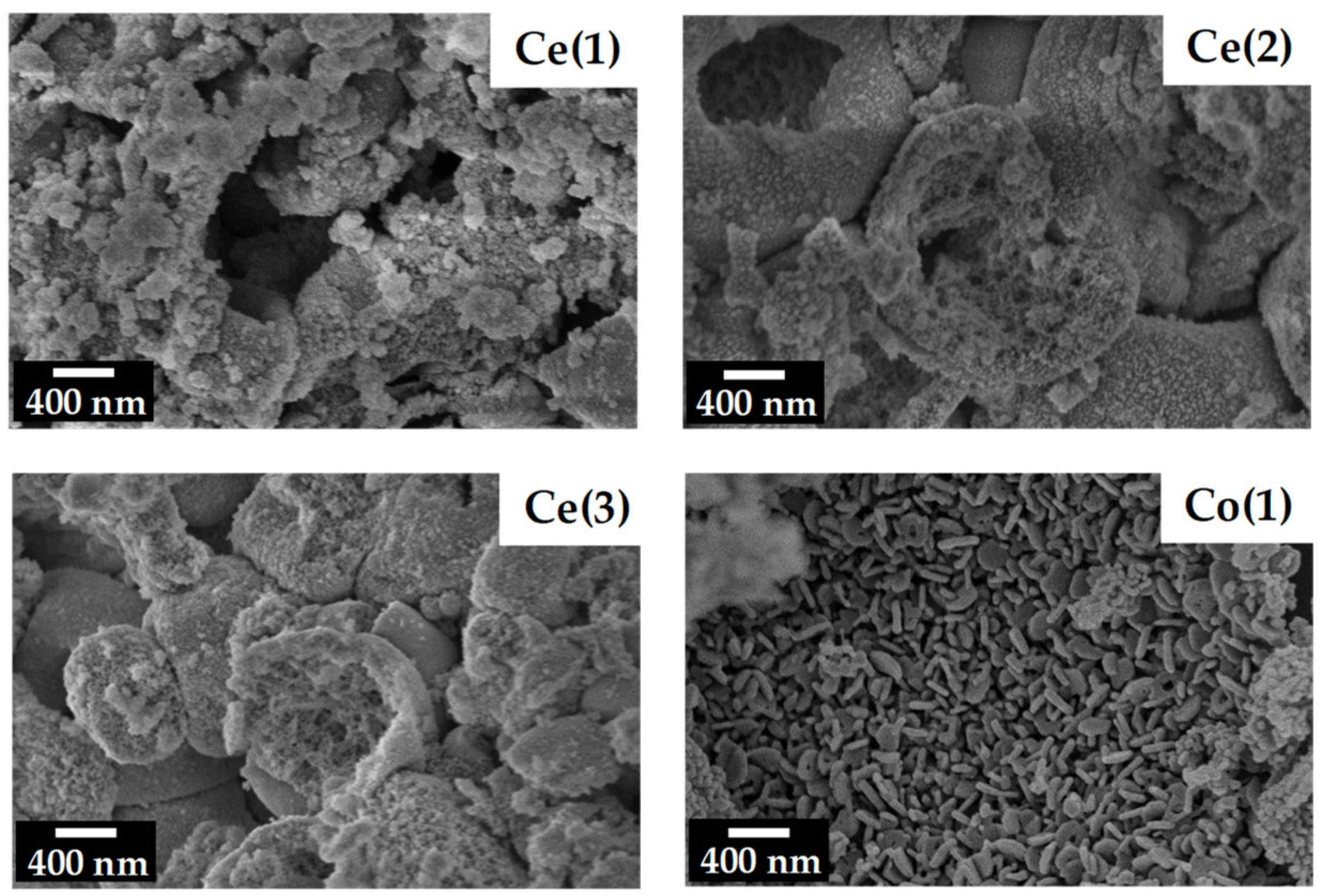 Catalysts 13 00660 g001