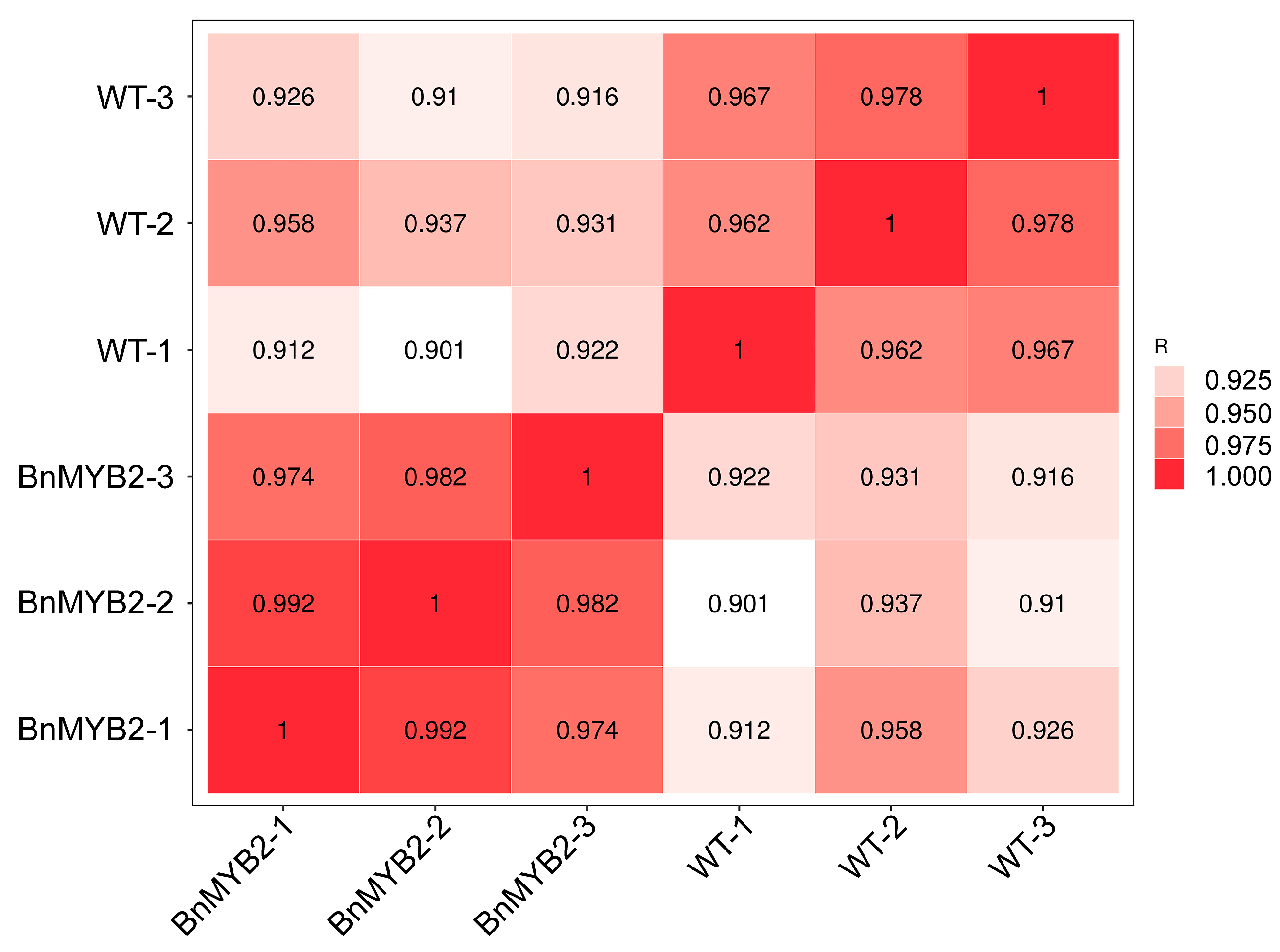 Catalysts 13 00662 g001