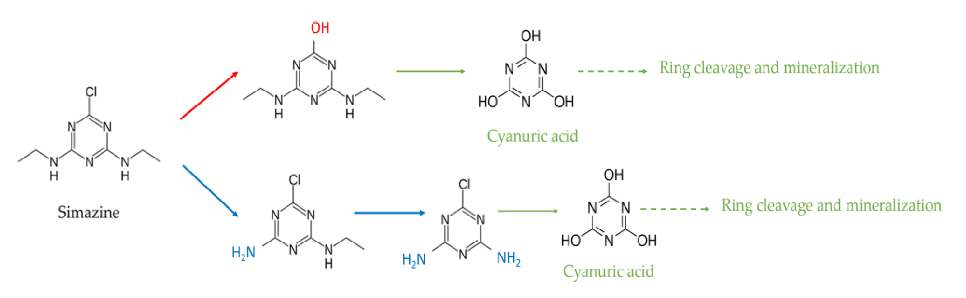 Catalysts 13 00667 sch003