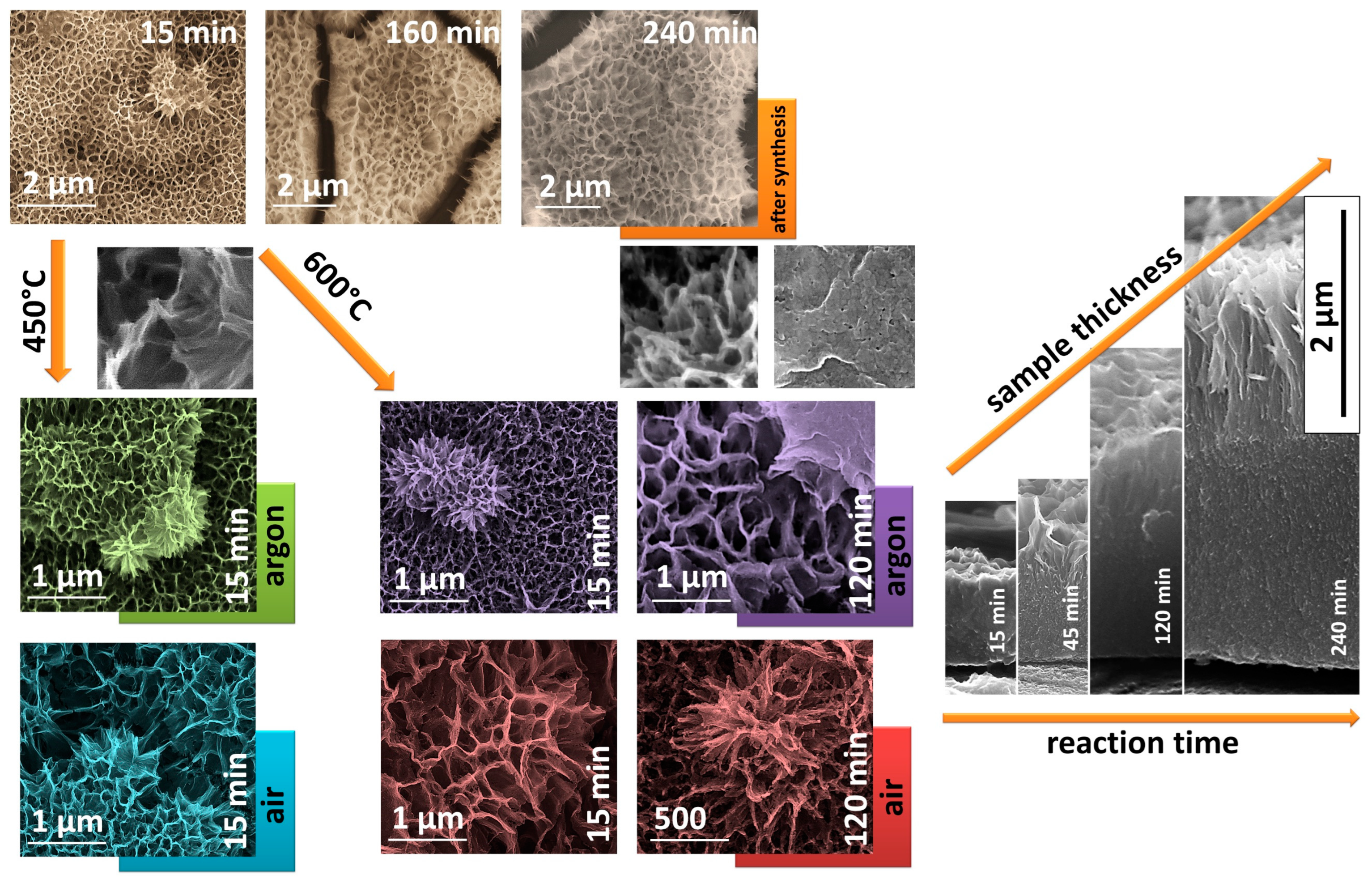 Catalysts 13 00671 g001 Catalysts 13 00671 g001
