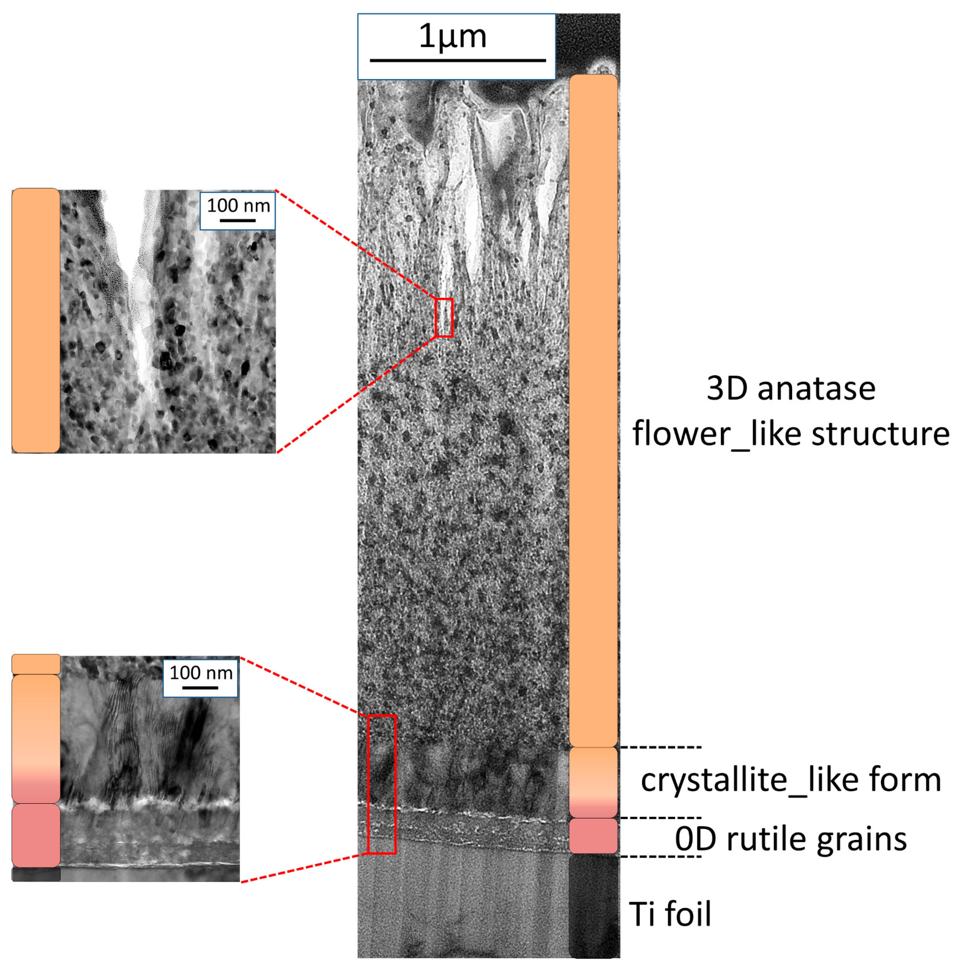 Catalysts 13 00671 g006 Catalysts 13 00671 g006