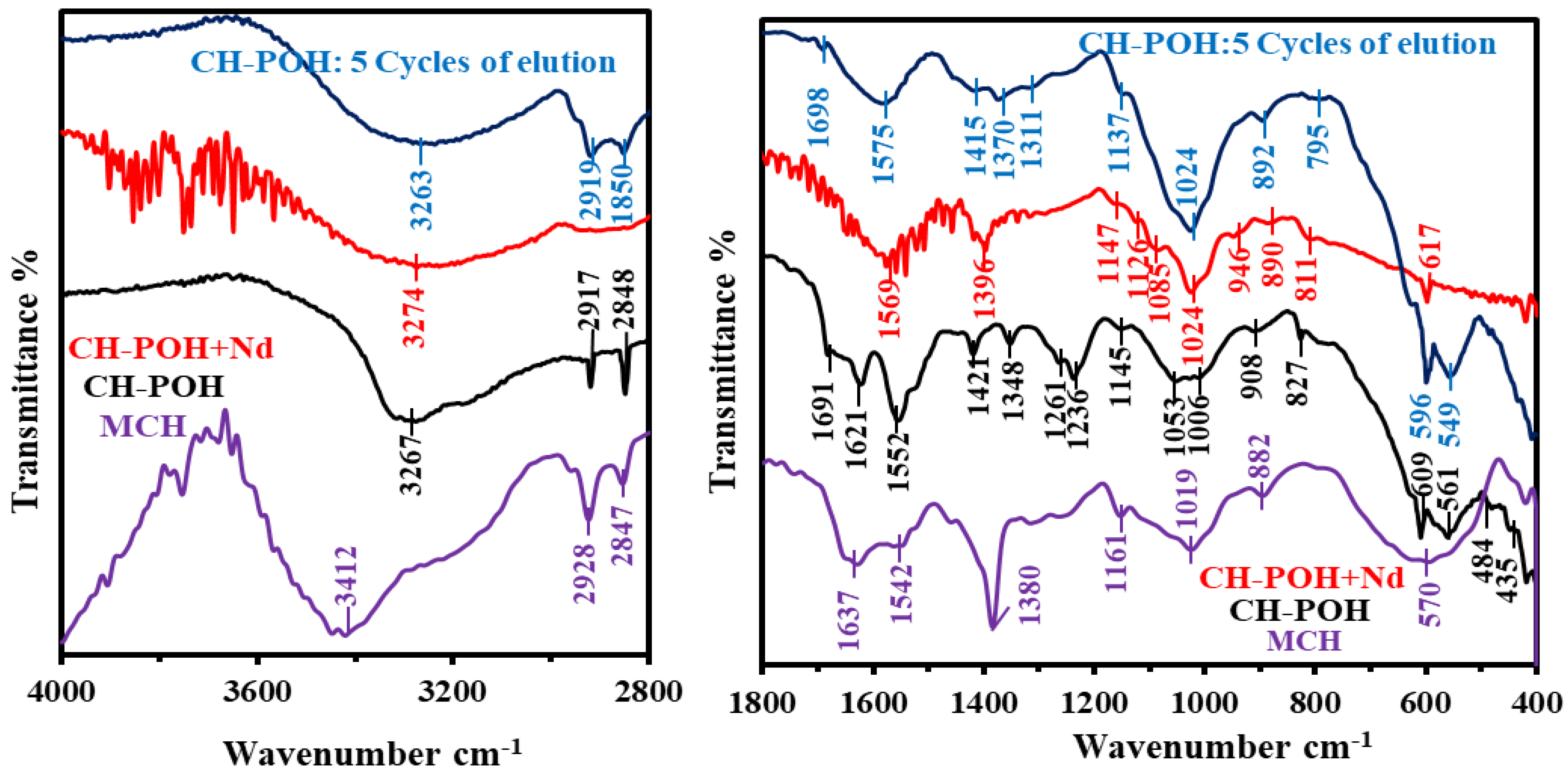 Catalysts 13 00672 g001