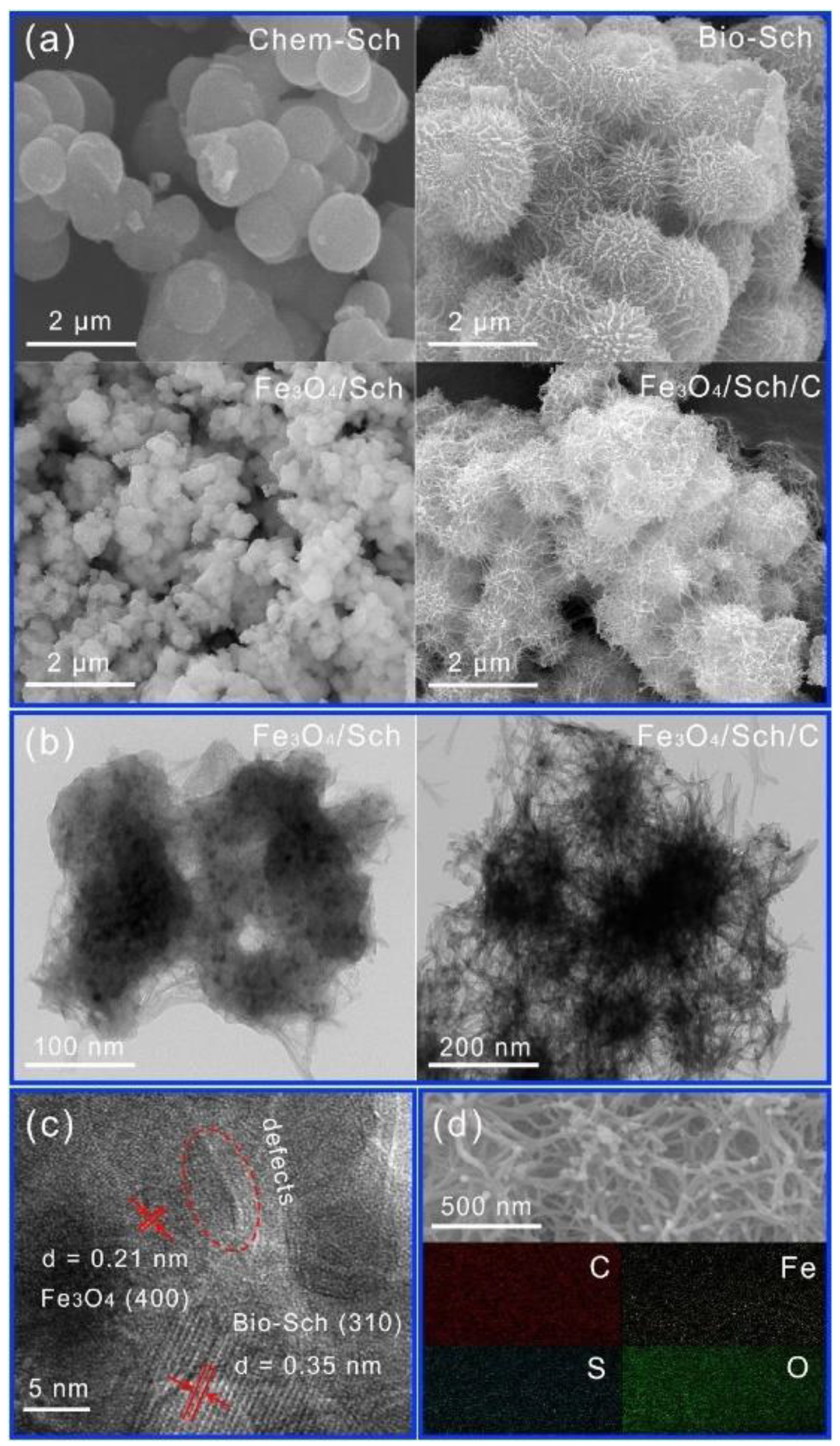 Catalysts 13 00674 g003 Catalysts 13 00674 g003