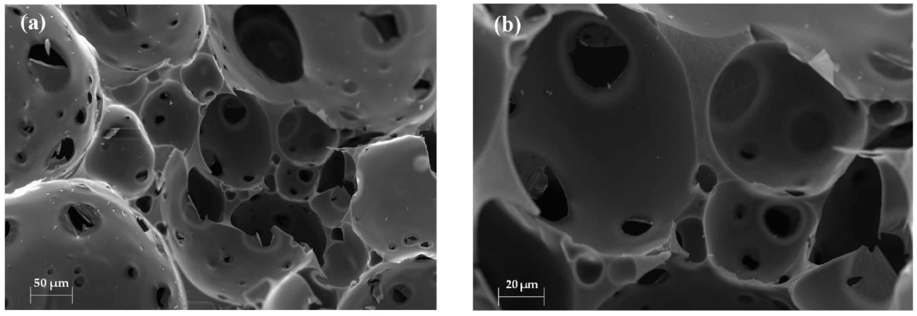 Catalysts 13 00674 g005 Catalysts 13 00674 g005