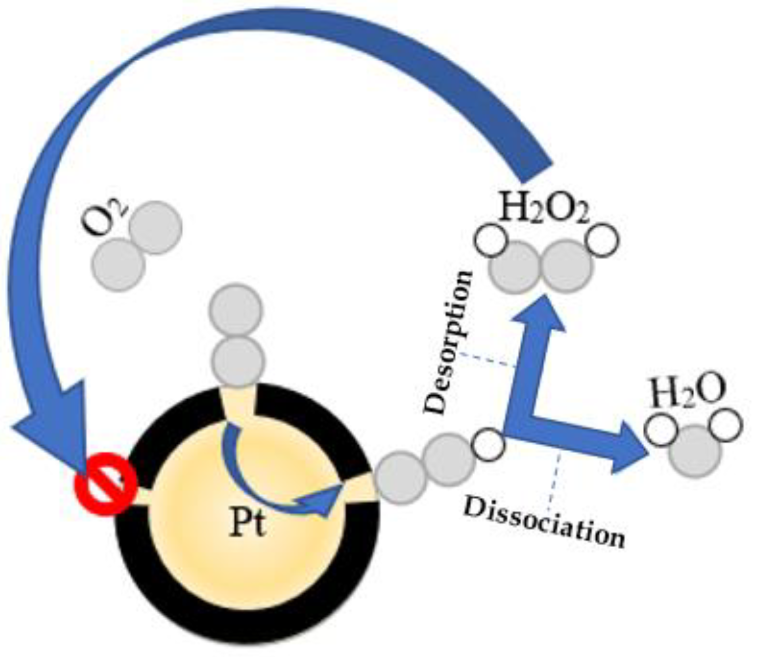 Catalysts 13 00674 g013 Catalysts 13 00674 g013