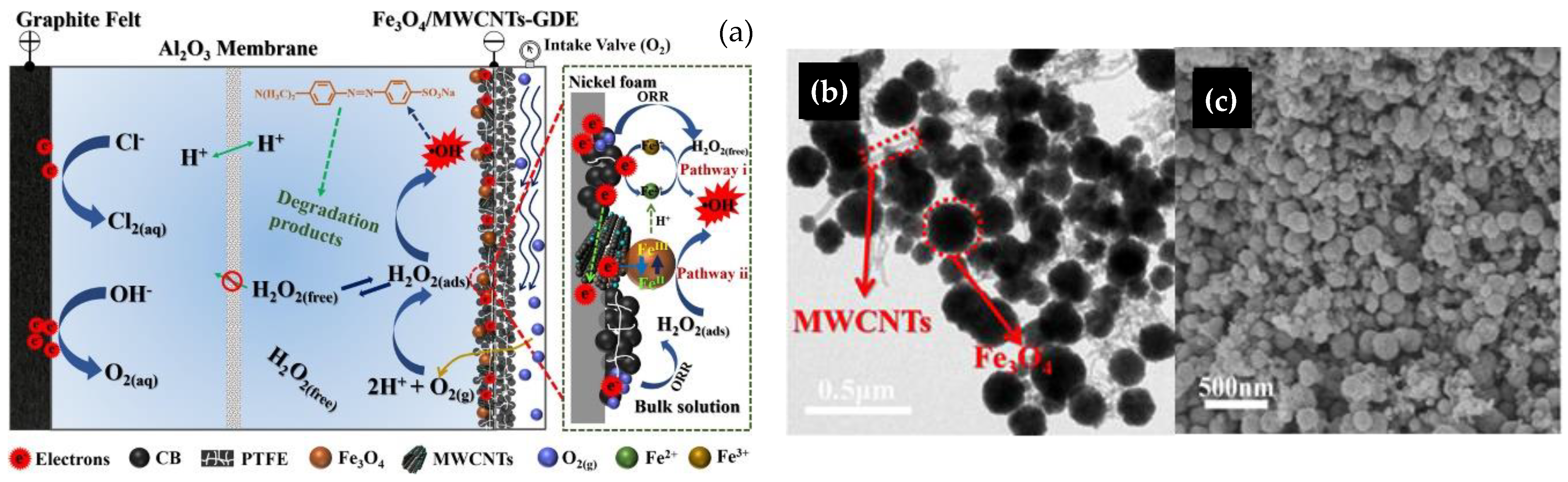 Catalysts 13 00674 g014 Catalysts 13 00674 g014